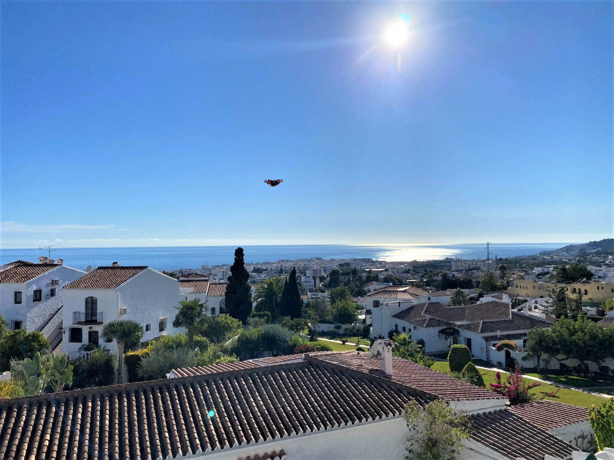 Photo of Los Naranjos 18B Capistrano Village by Casasol