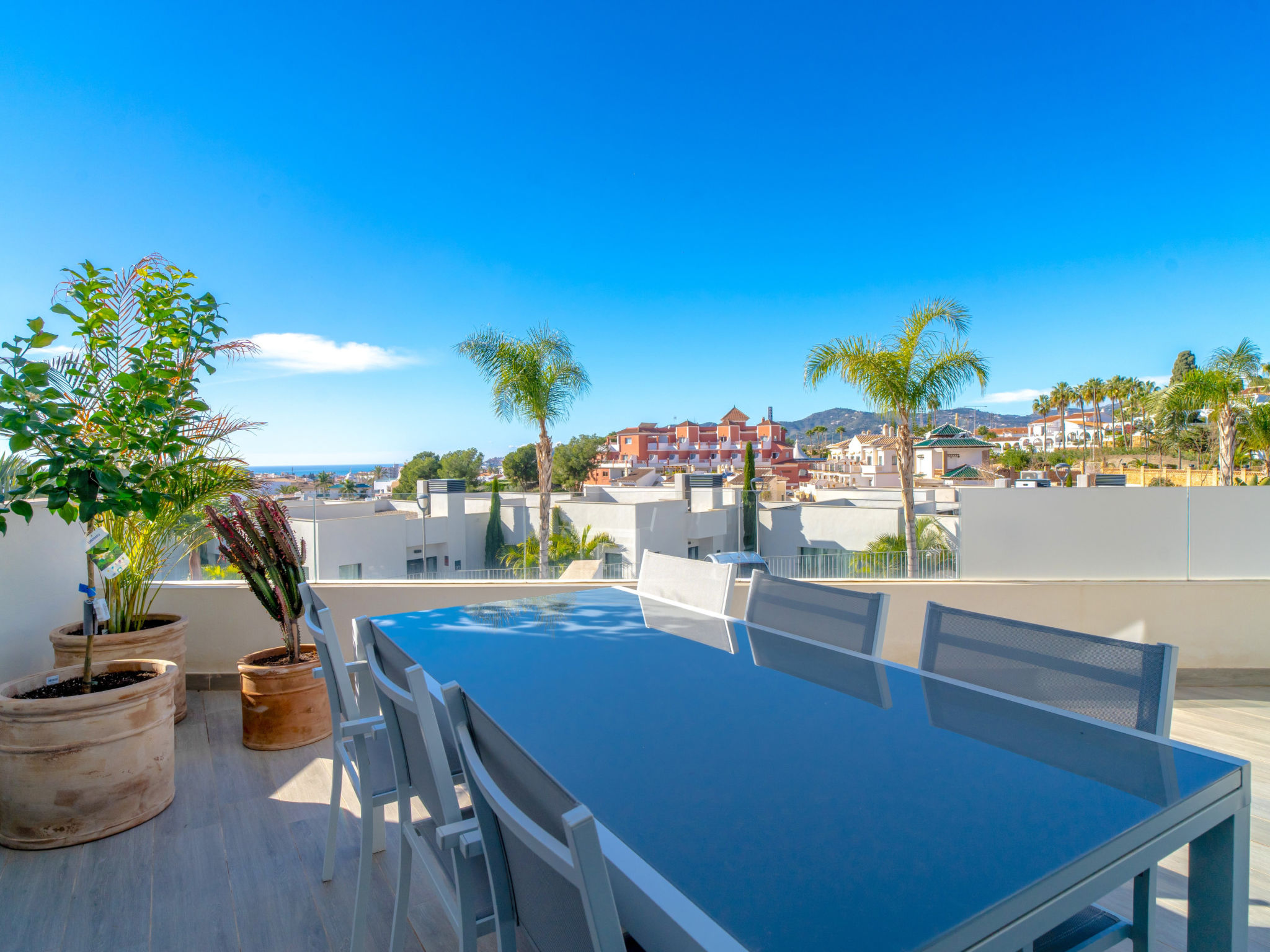 Photo of Royal Palm Luxe by Casasol