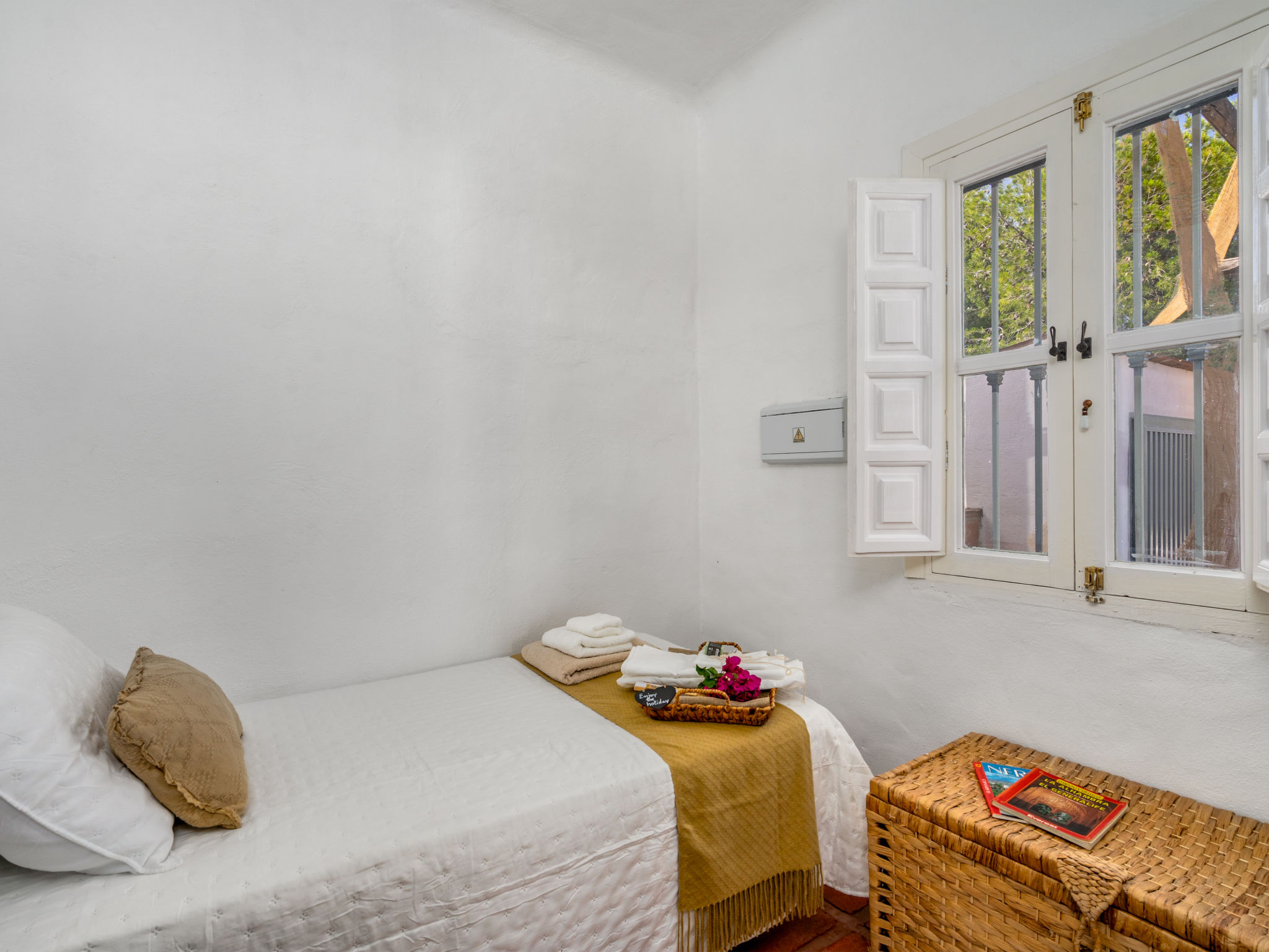 Photo of Camelia Blanca