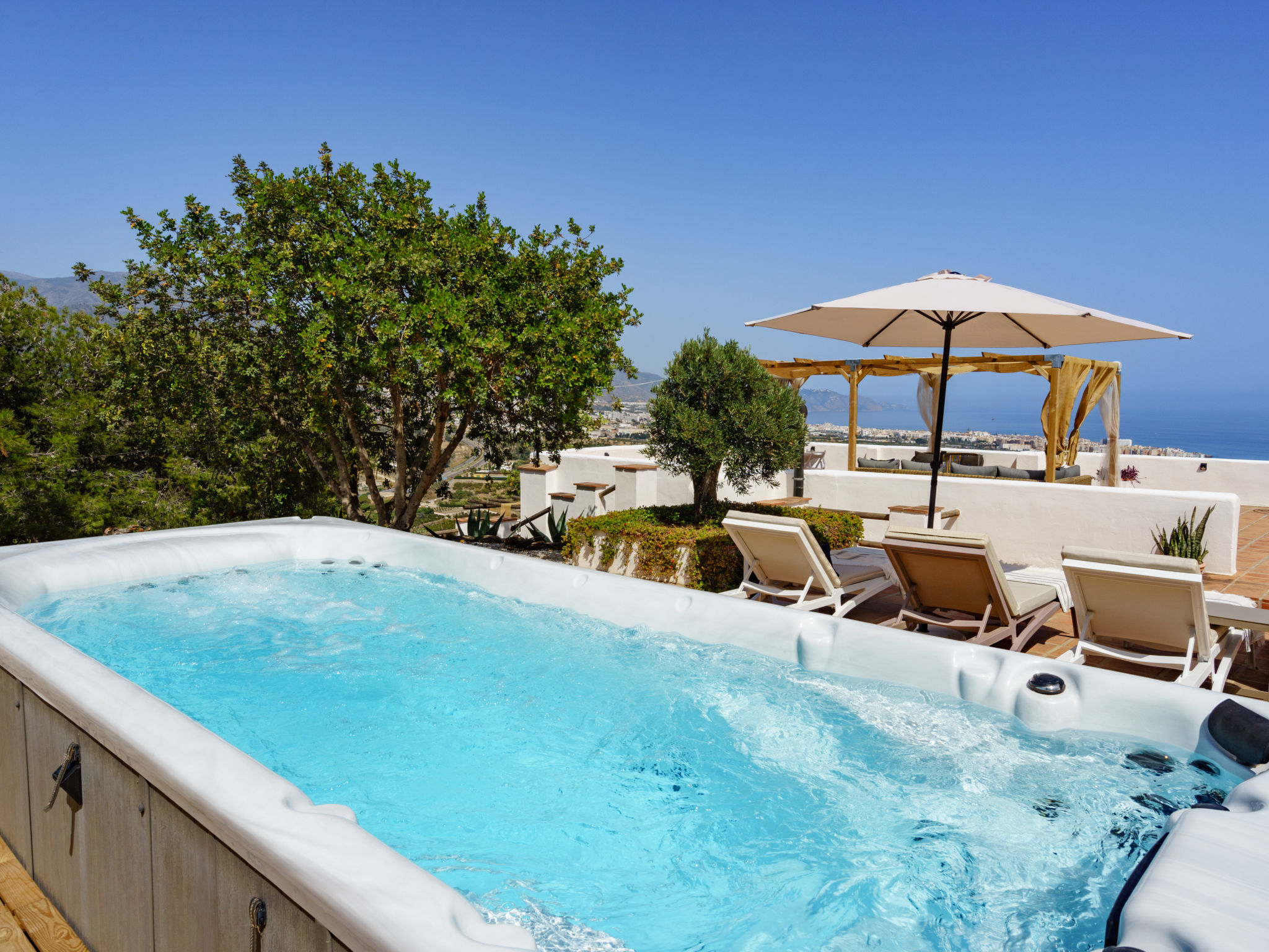 Photo of Camelia Blanca