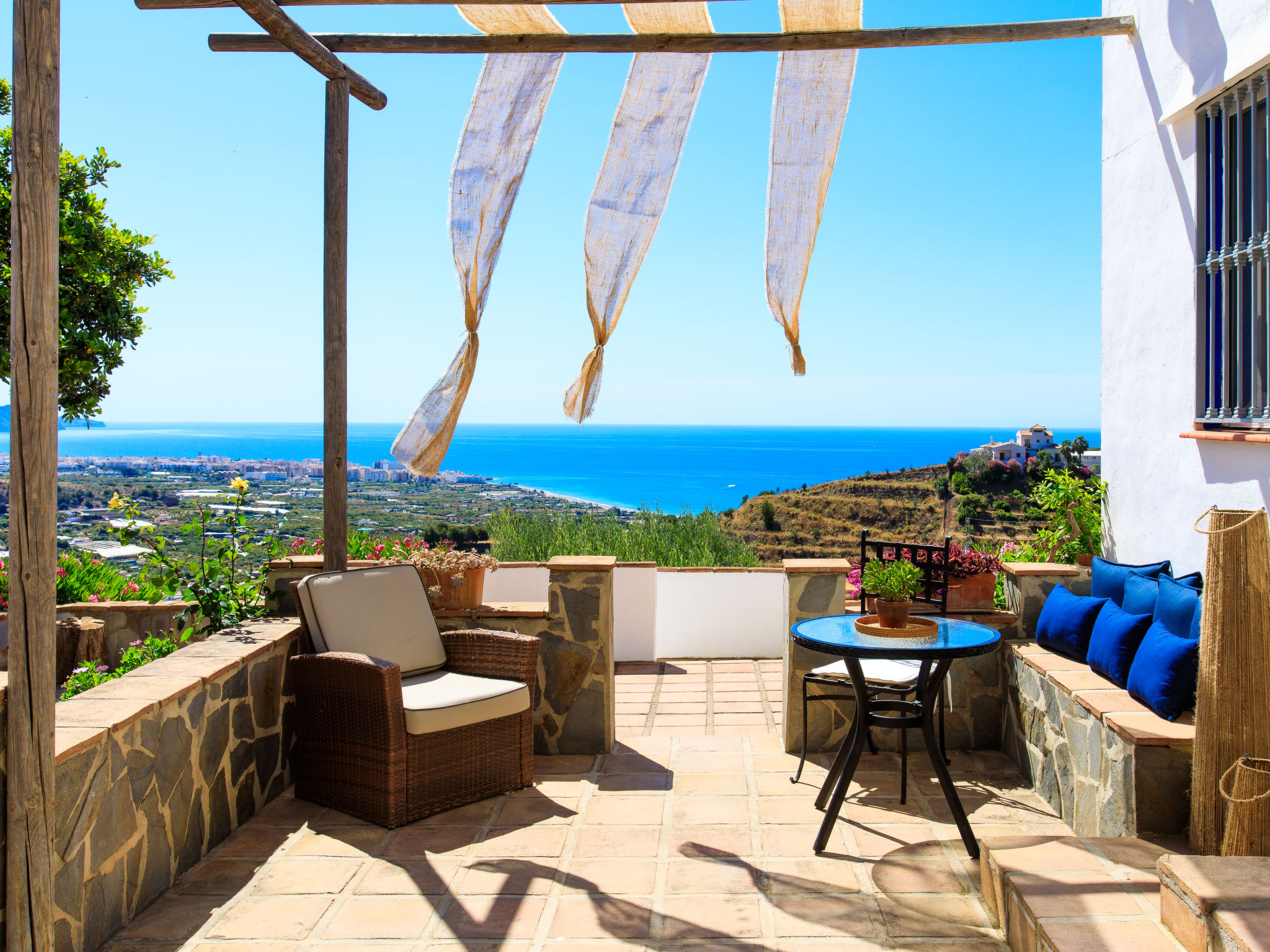 Photo of Camelia Blanca