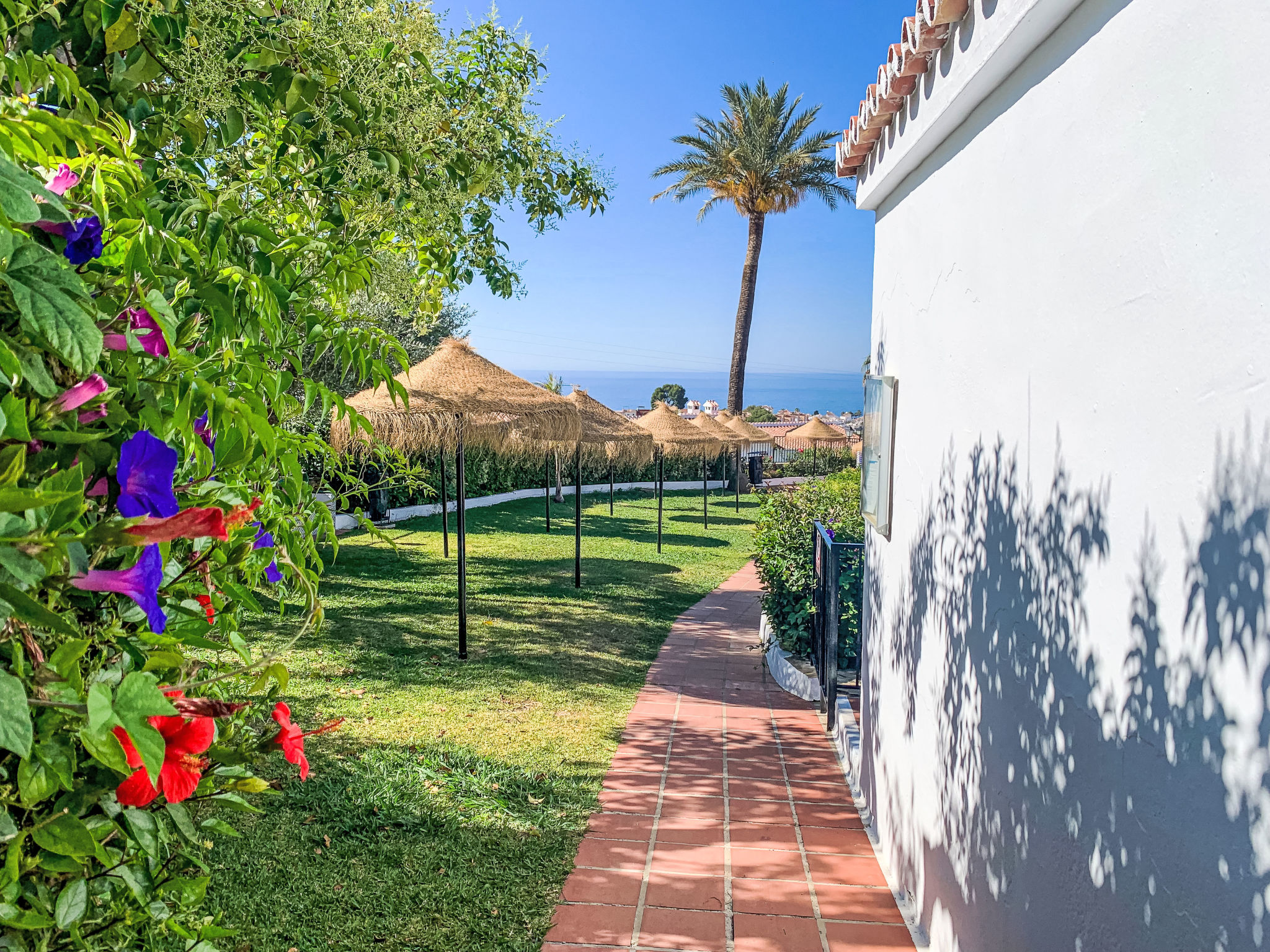 Photo of Los Geraneos de Capistrano