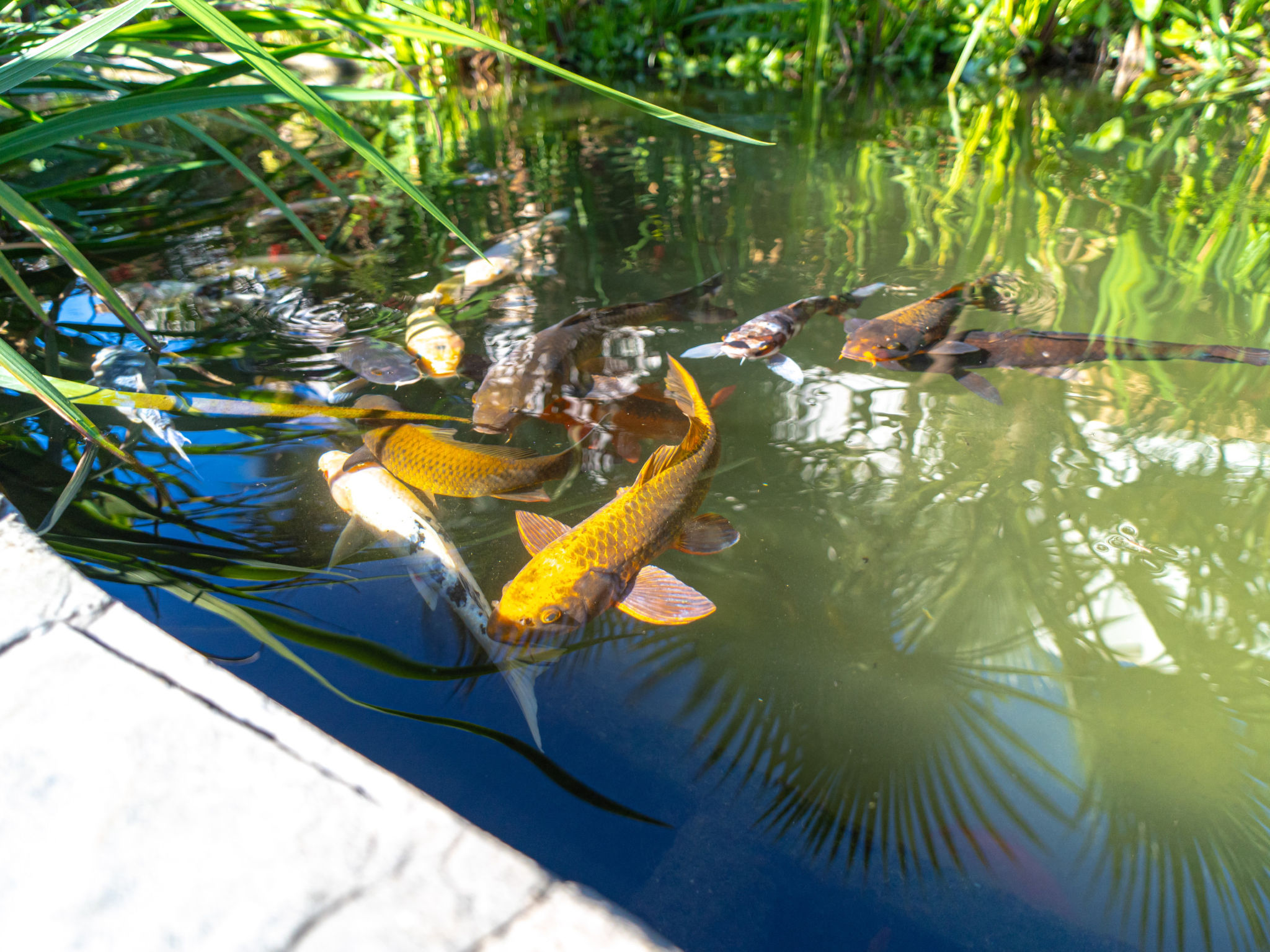 Photo of Casablanca Sunny Terrace by Casasol