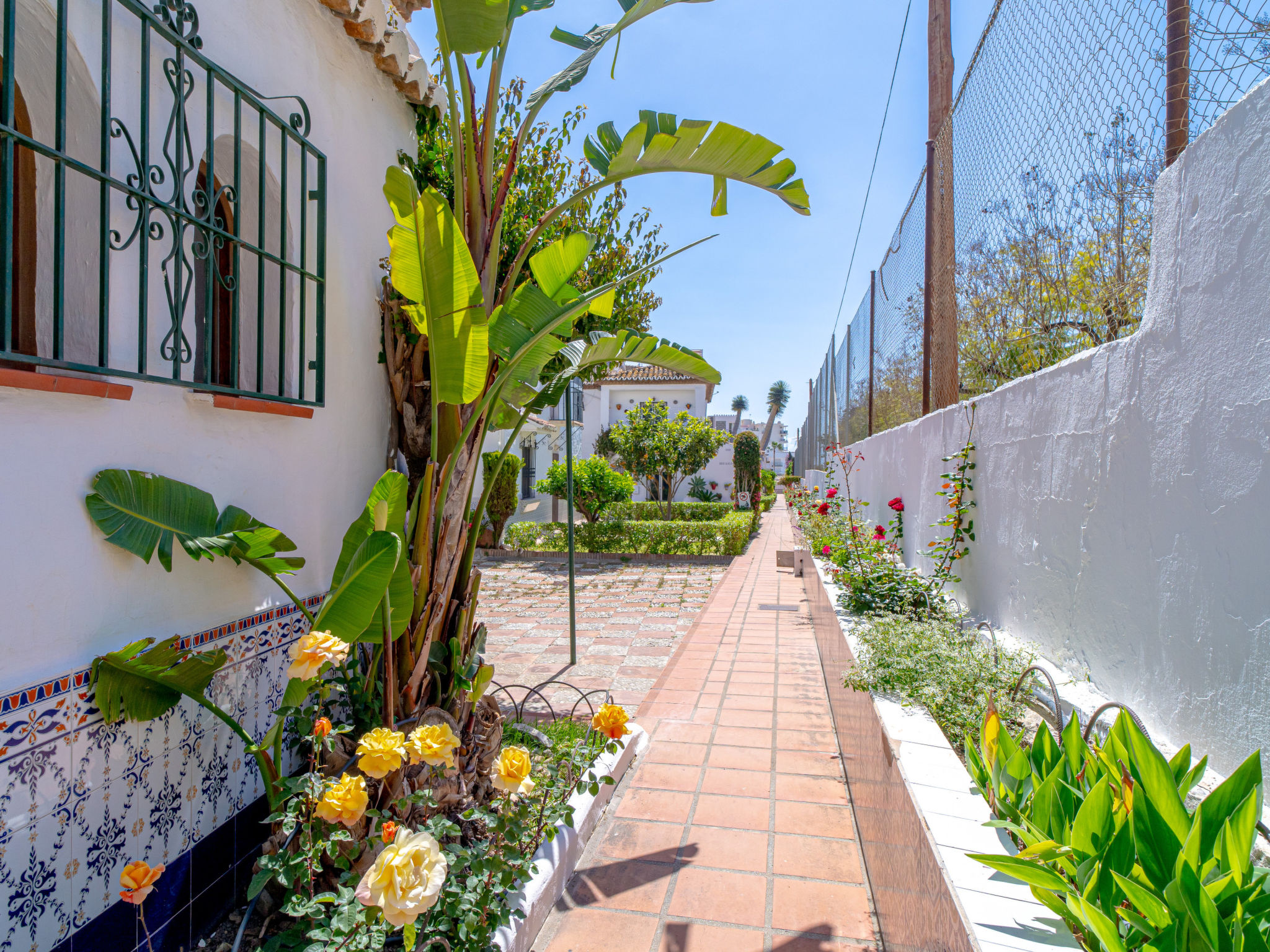 Photo of Casa Pueblo Andaluz 38 by Casasol