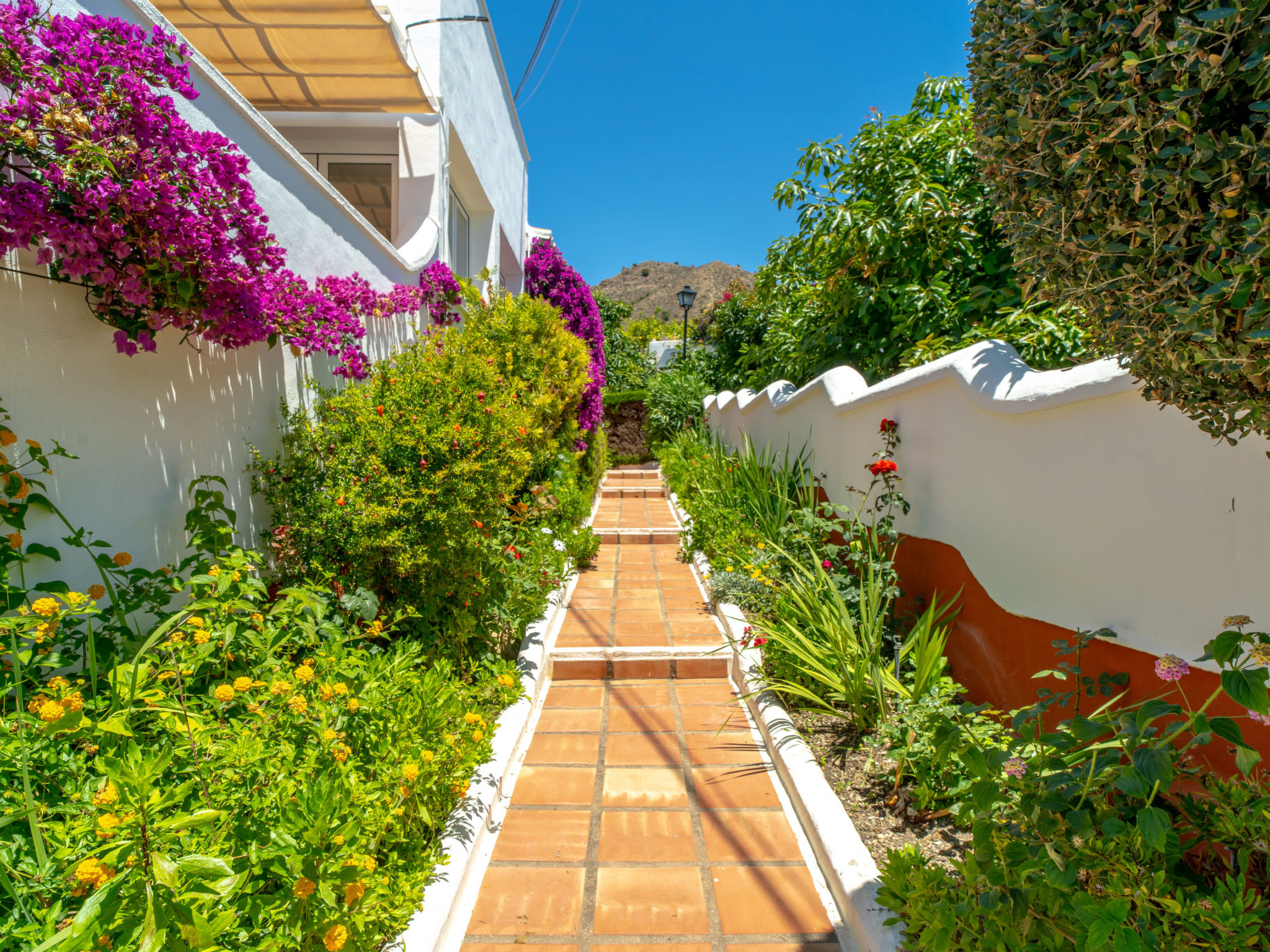 Los Aguacates Bellavista by Casasol - Buiten