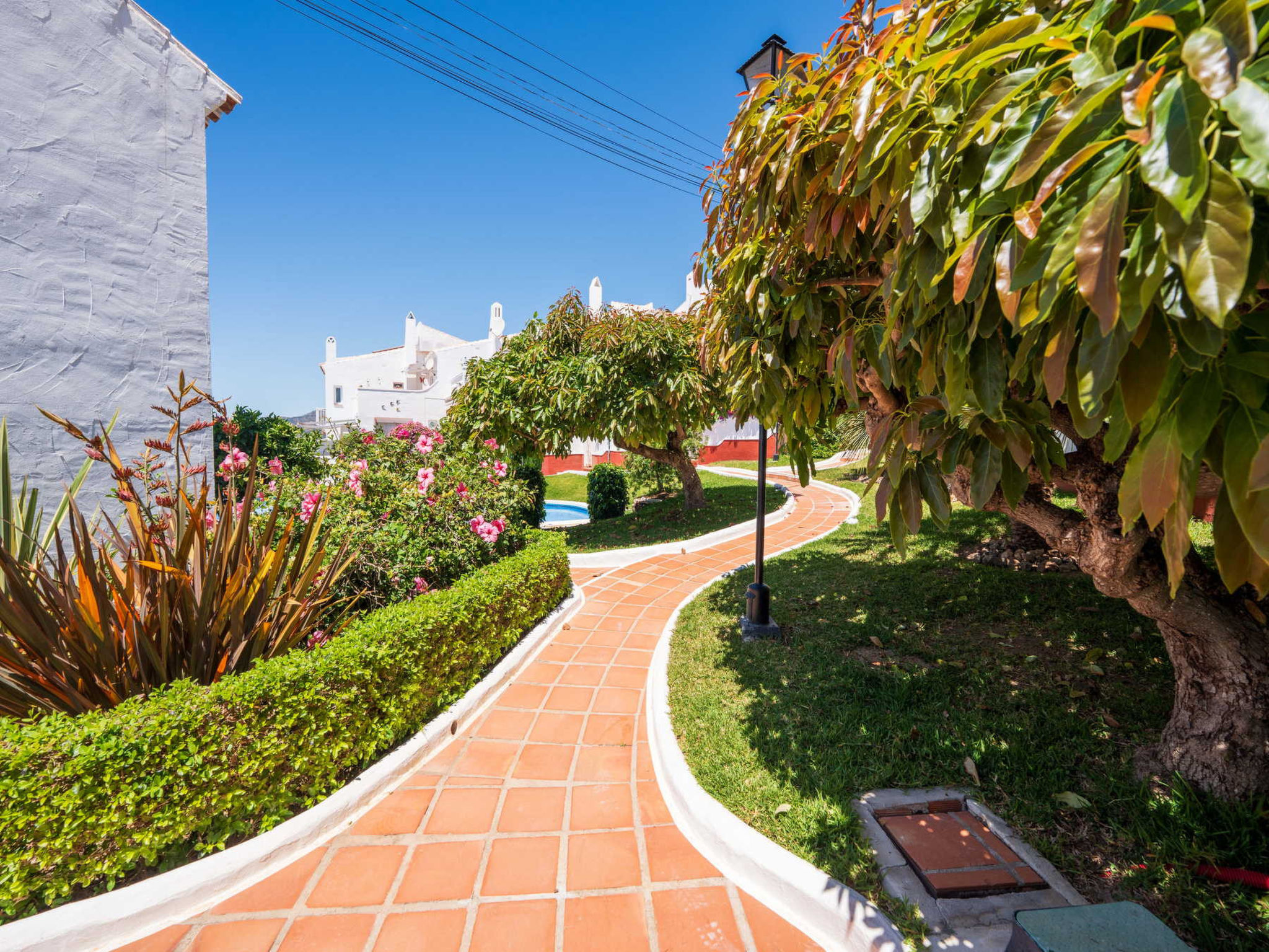 Los Aguacates Bellavista by Casasol - Binnen