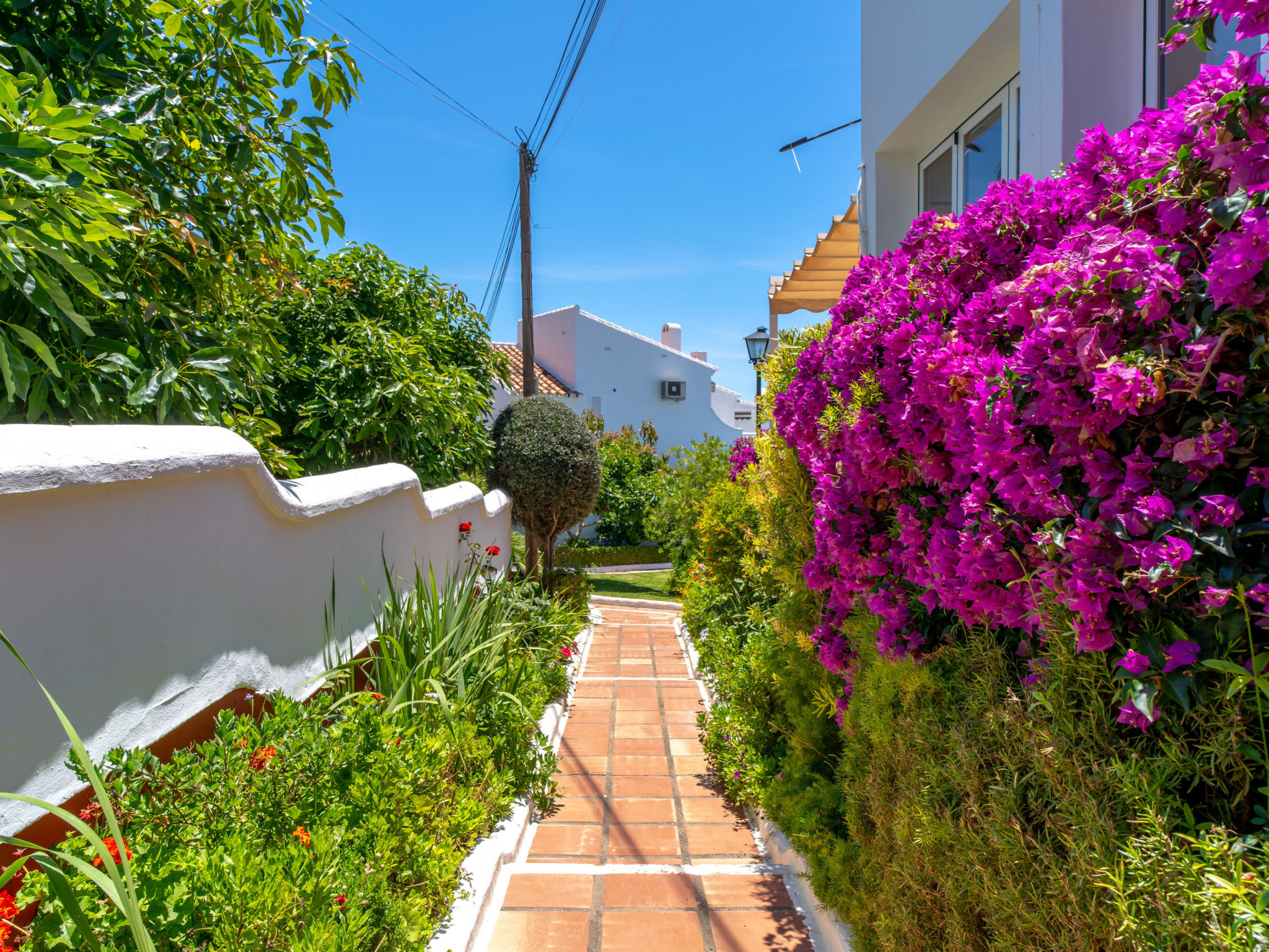 Los Aguacates Bellavista by Casasol - Buiten