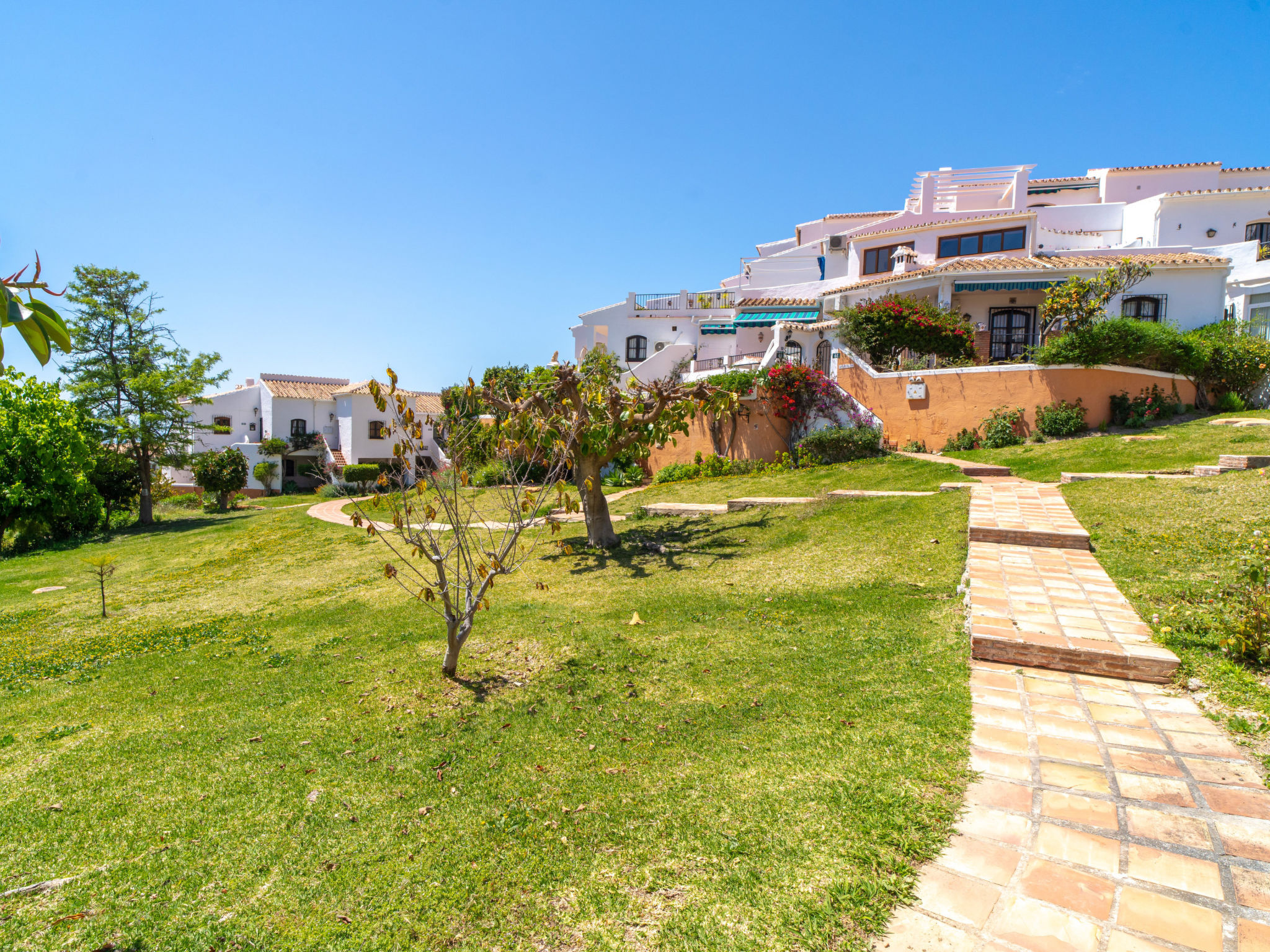 Photo of Hibiscos 72 Deluxe by Casasol