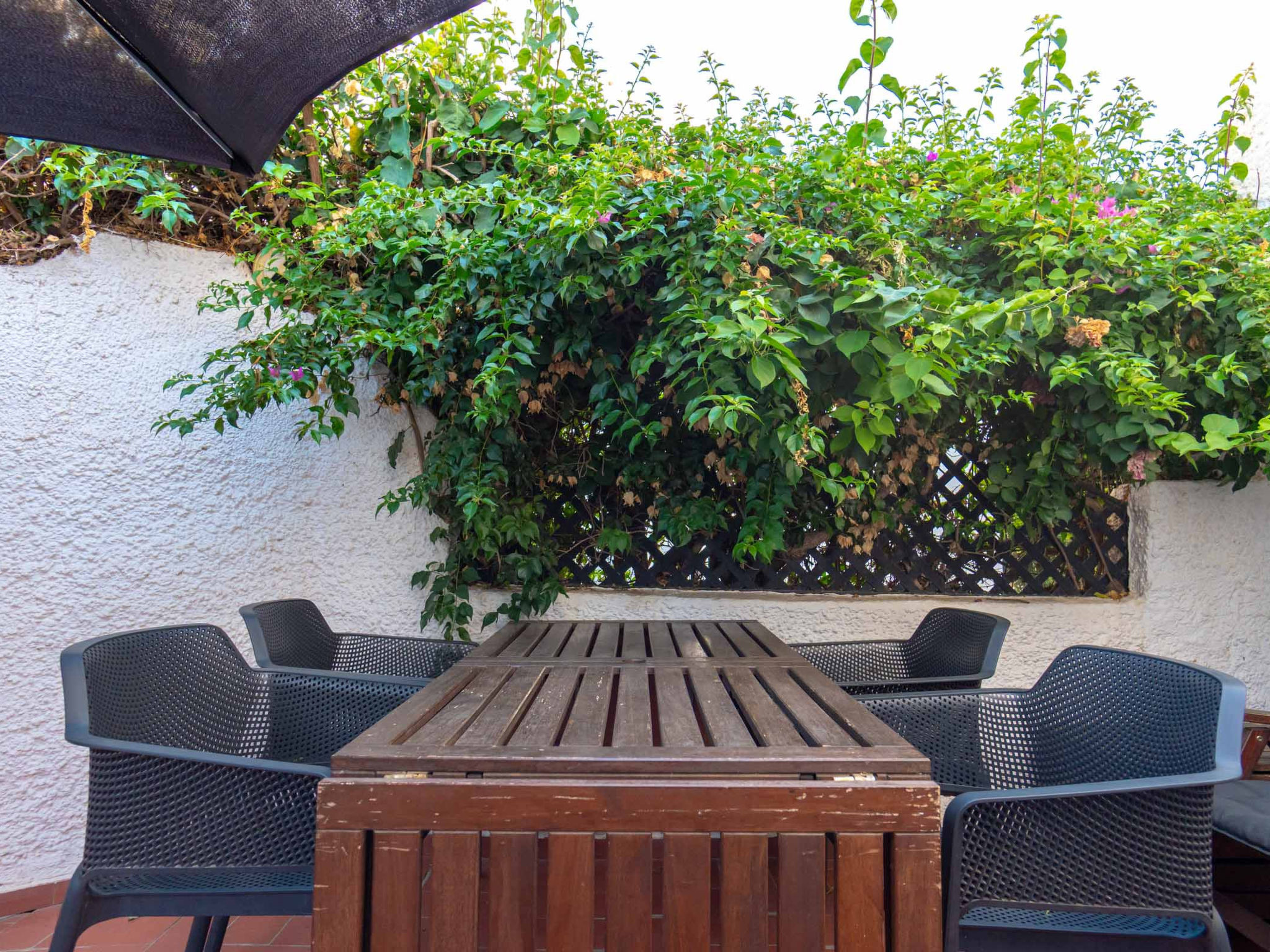  — Terrace (5 of 32)