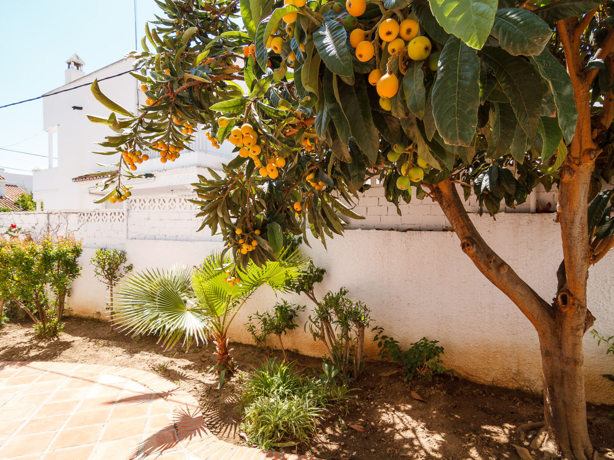 Photo of Los Pinos 25 Villas by Casasol