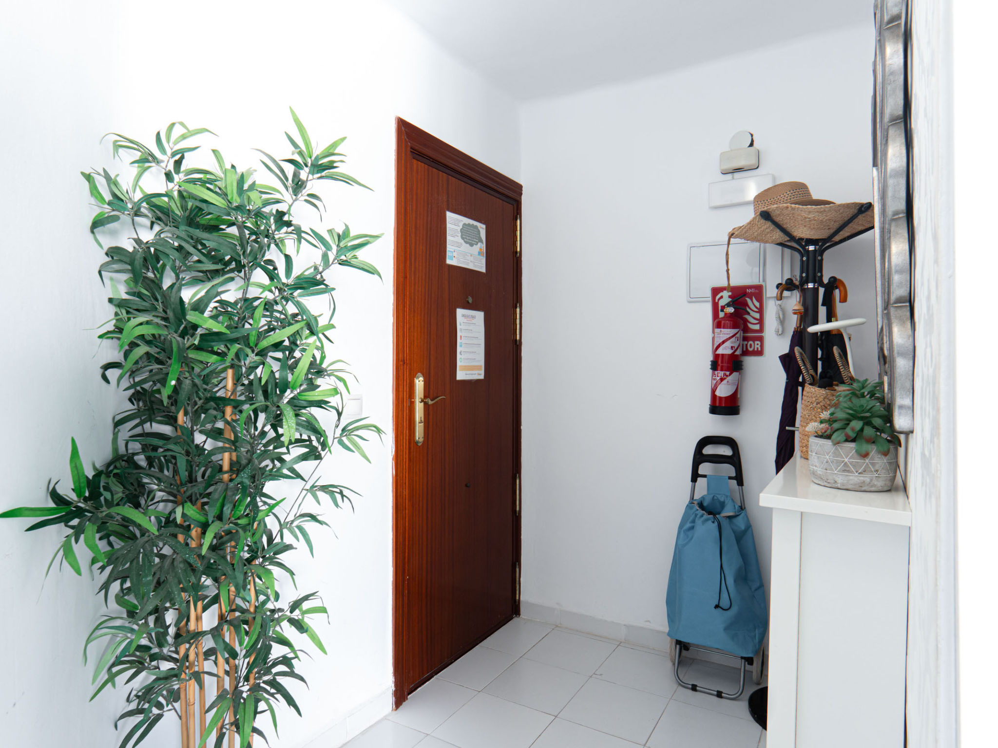 Photo of ES5405.839.1