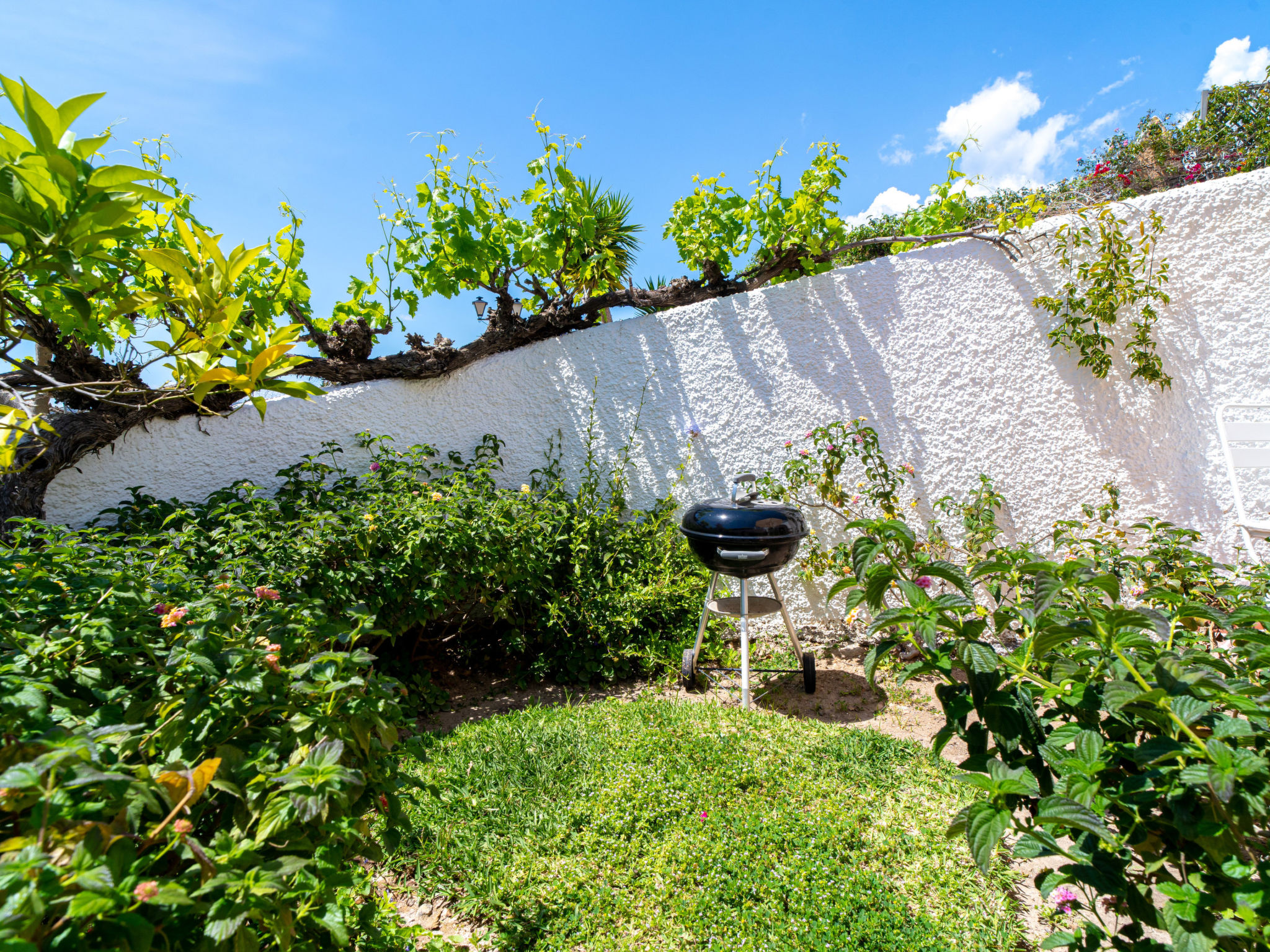 Photo of San Francisco Deluxe 102 by Casasol