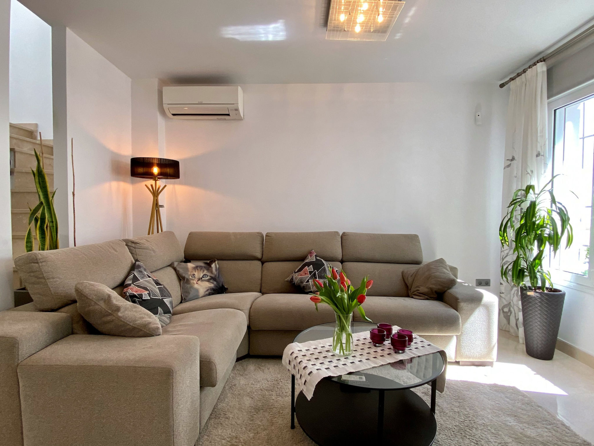 Photo of Casa Animas Centro by Casasol