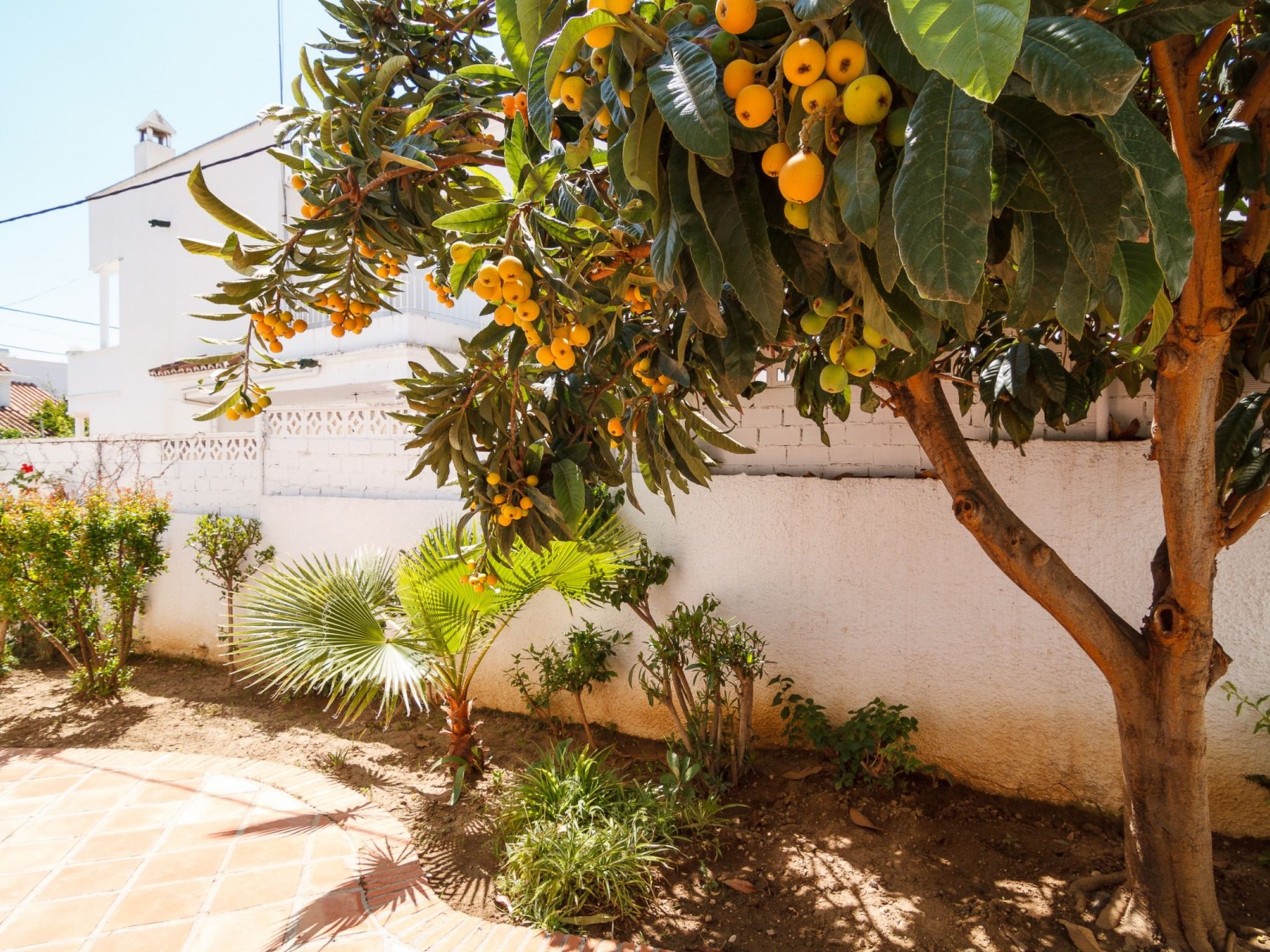 Photo of Los Pinos 23 Villas by Casasol