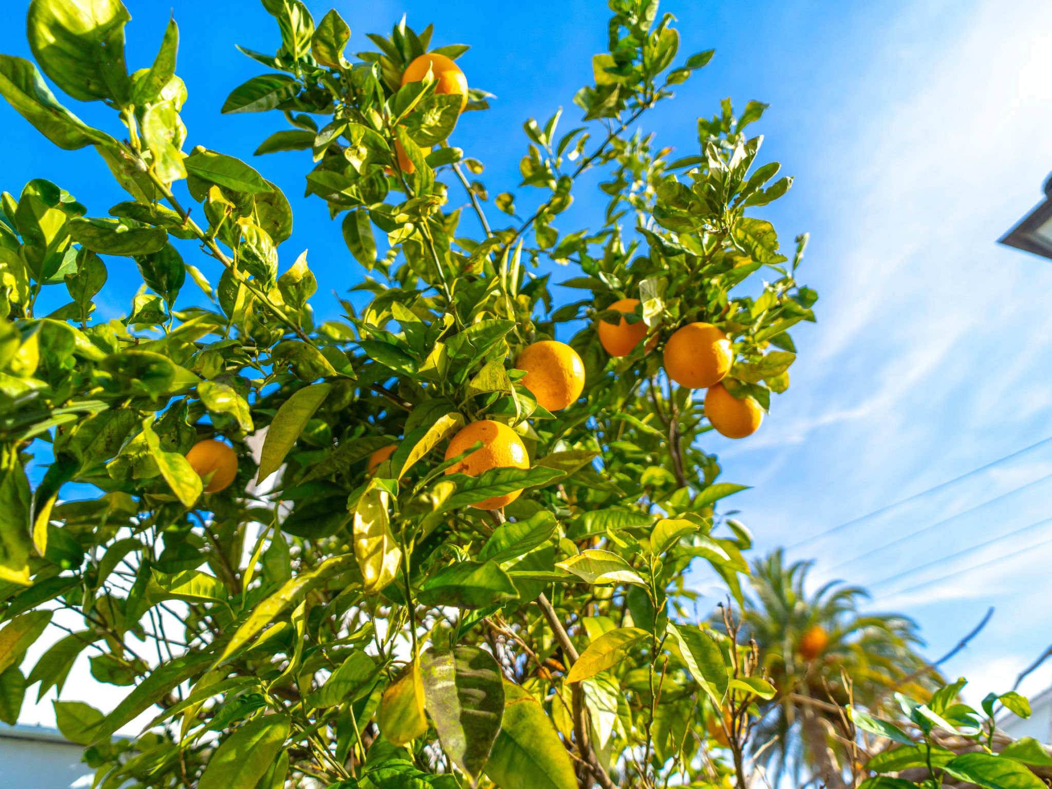 Photo of Villa Grande Luxe Private Pool by Casasol