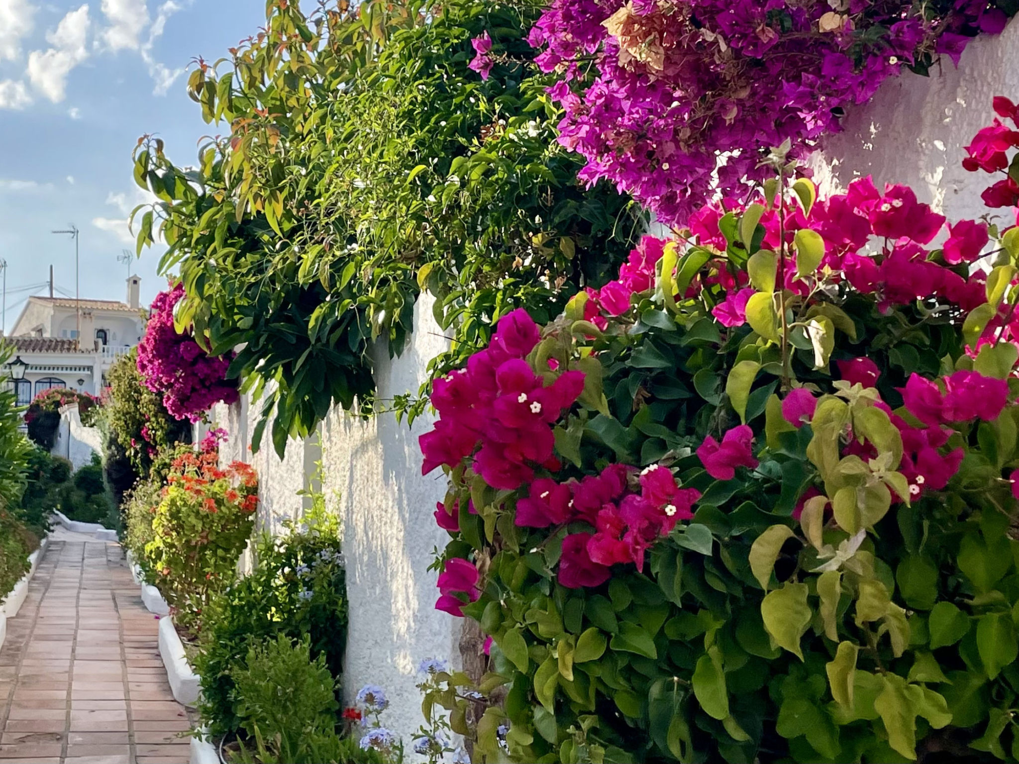 Photo of Capistrano Village Casa Emma by Casasol