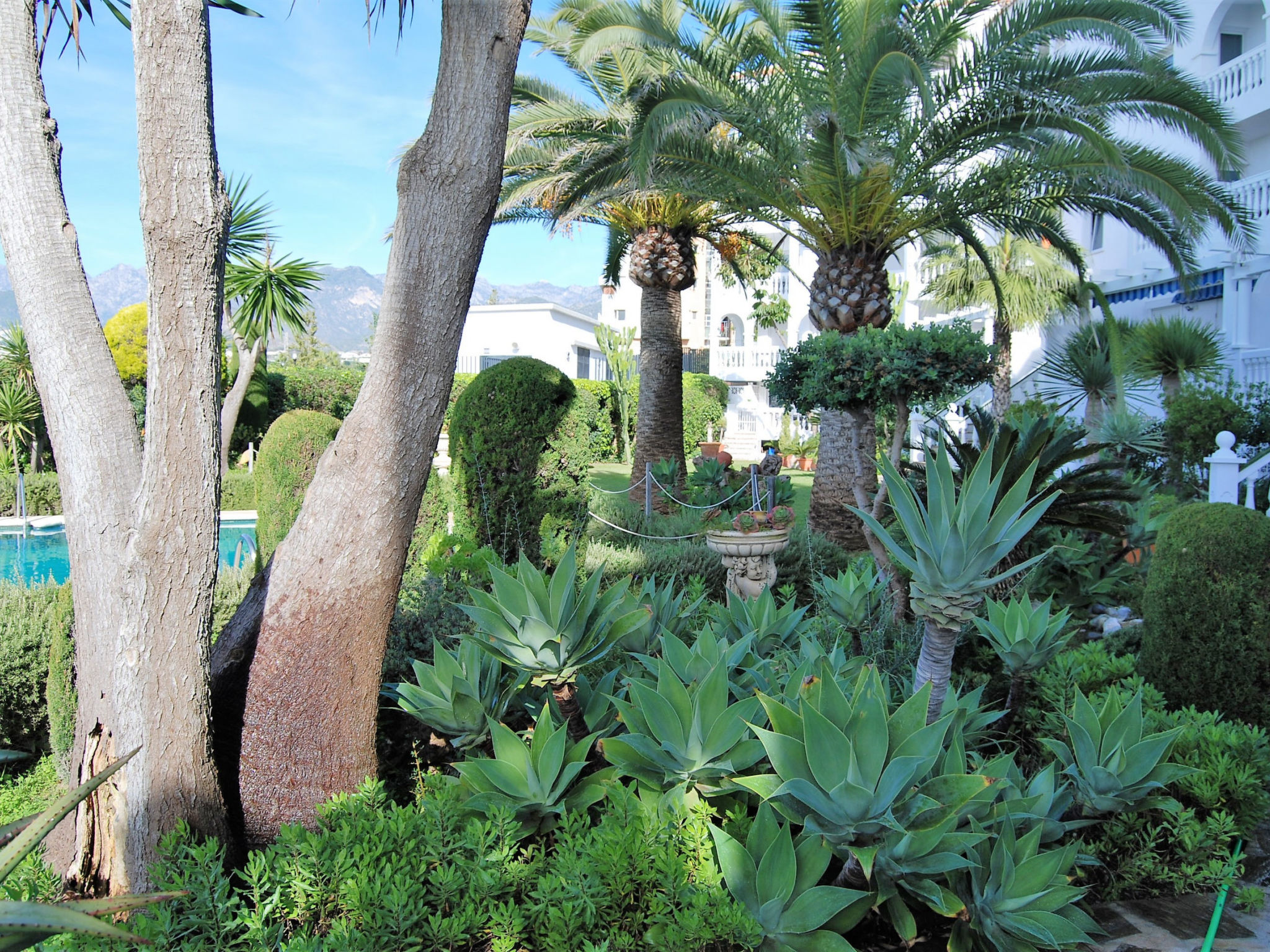 Photo of Stella Maris Beachfront 1A by Casasol