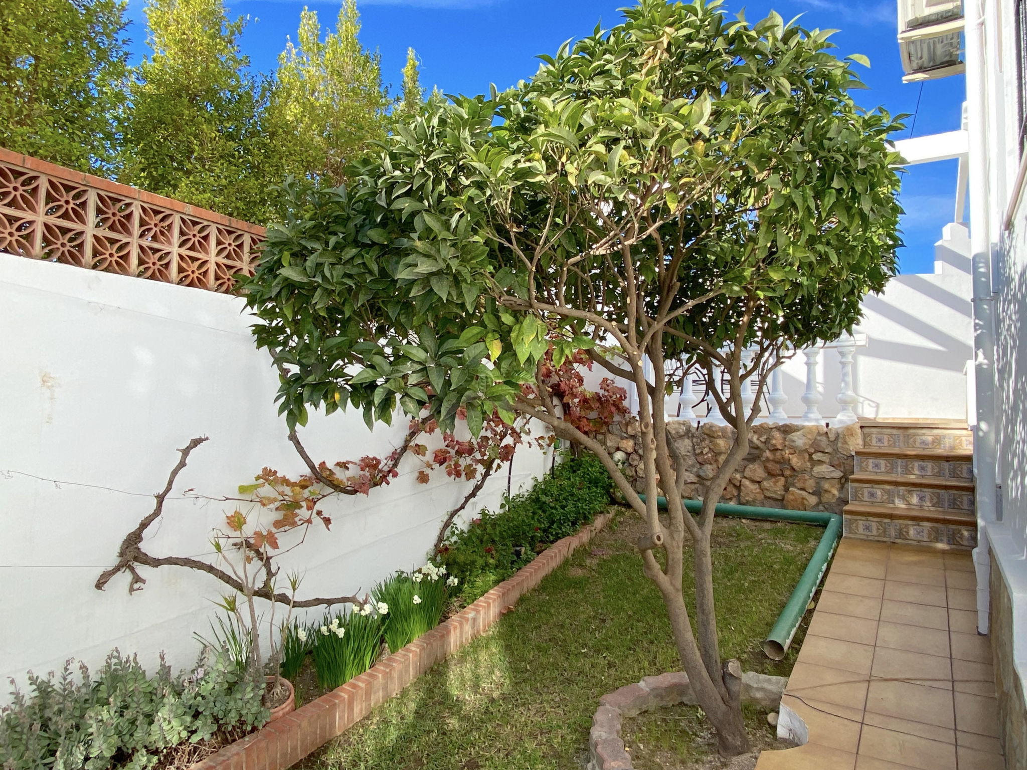 Photo of Villa Sandra Little Haven Apartment by Casasol