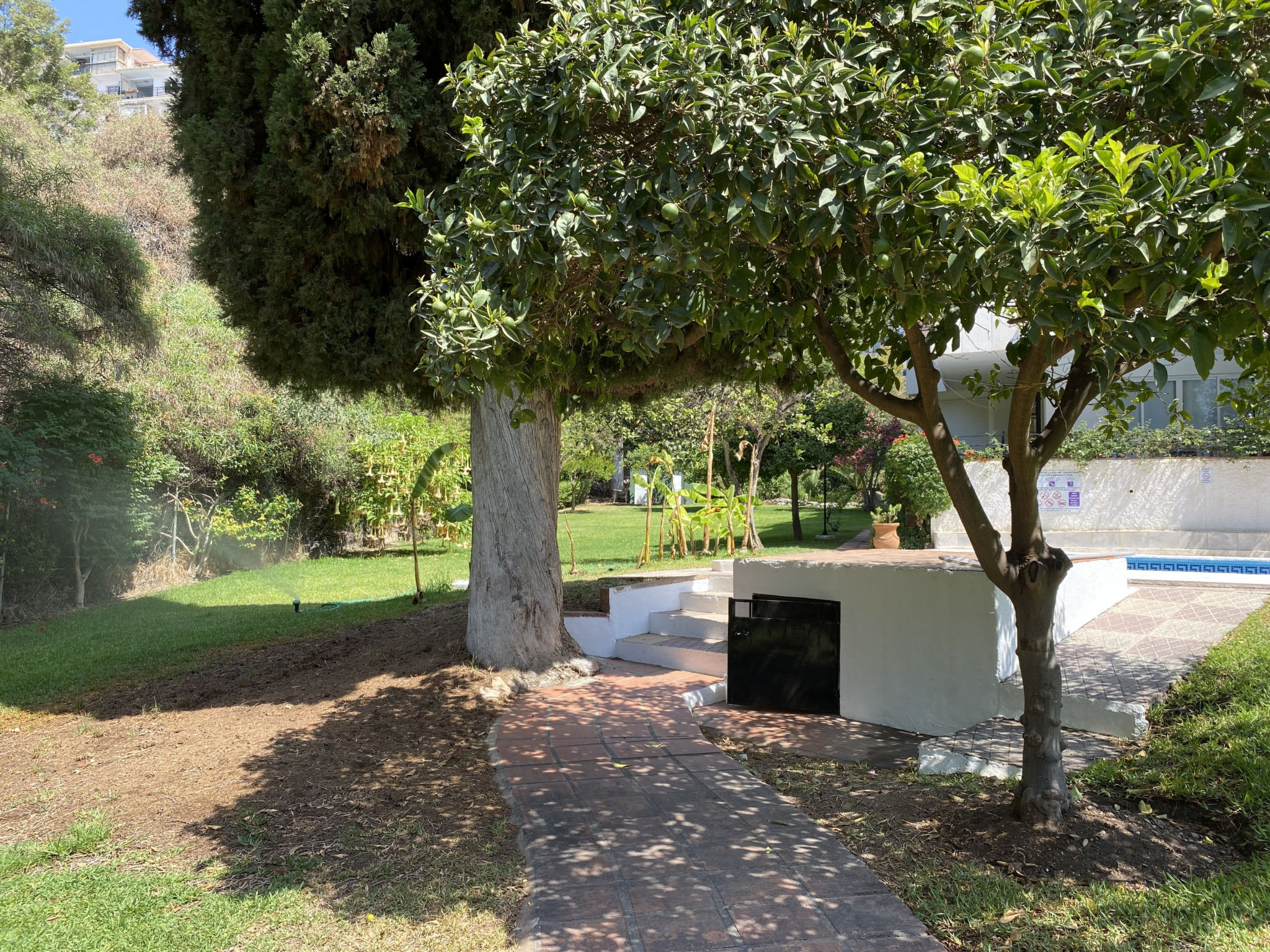 Photo of Bahamas 24 Burriana by Casasol