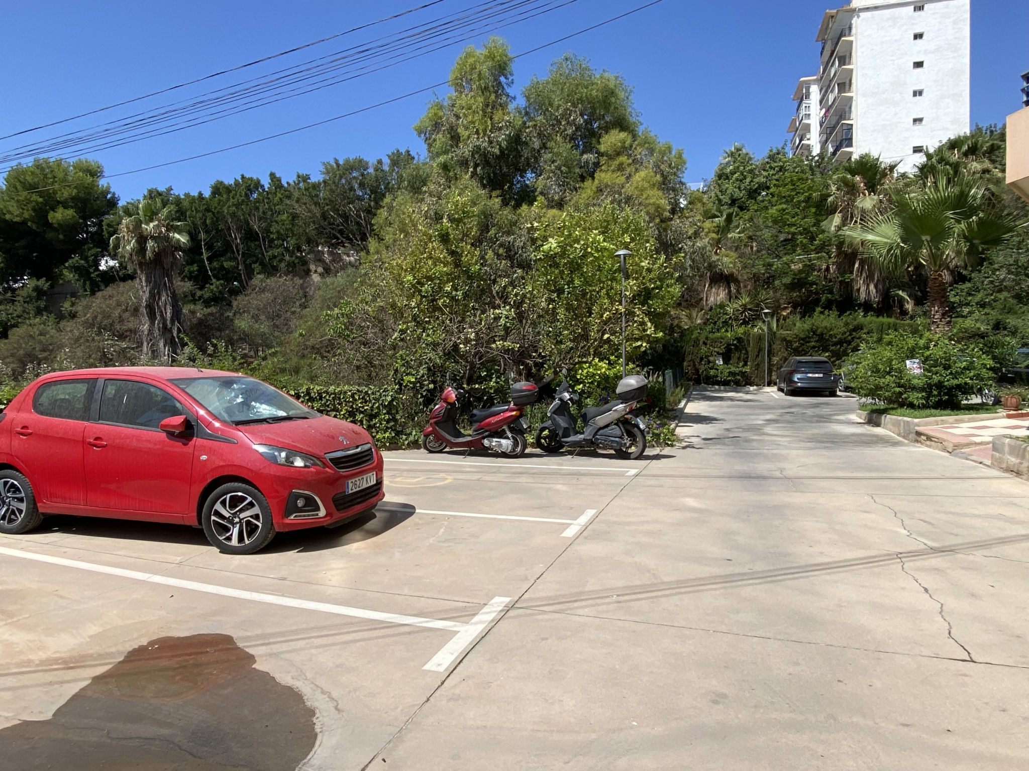 Photo of Bahamas 24 Burriana by Casasol