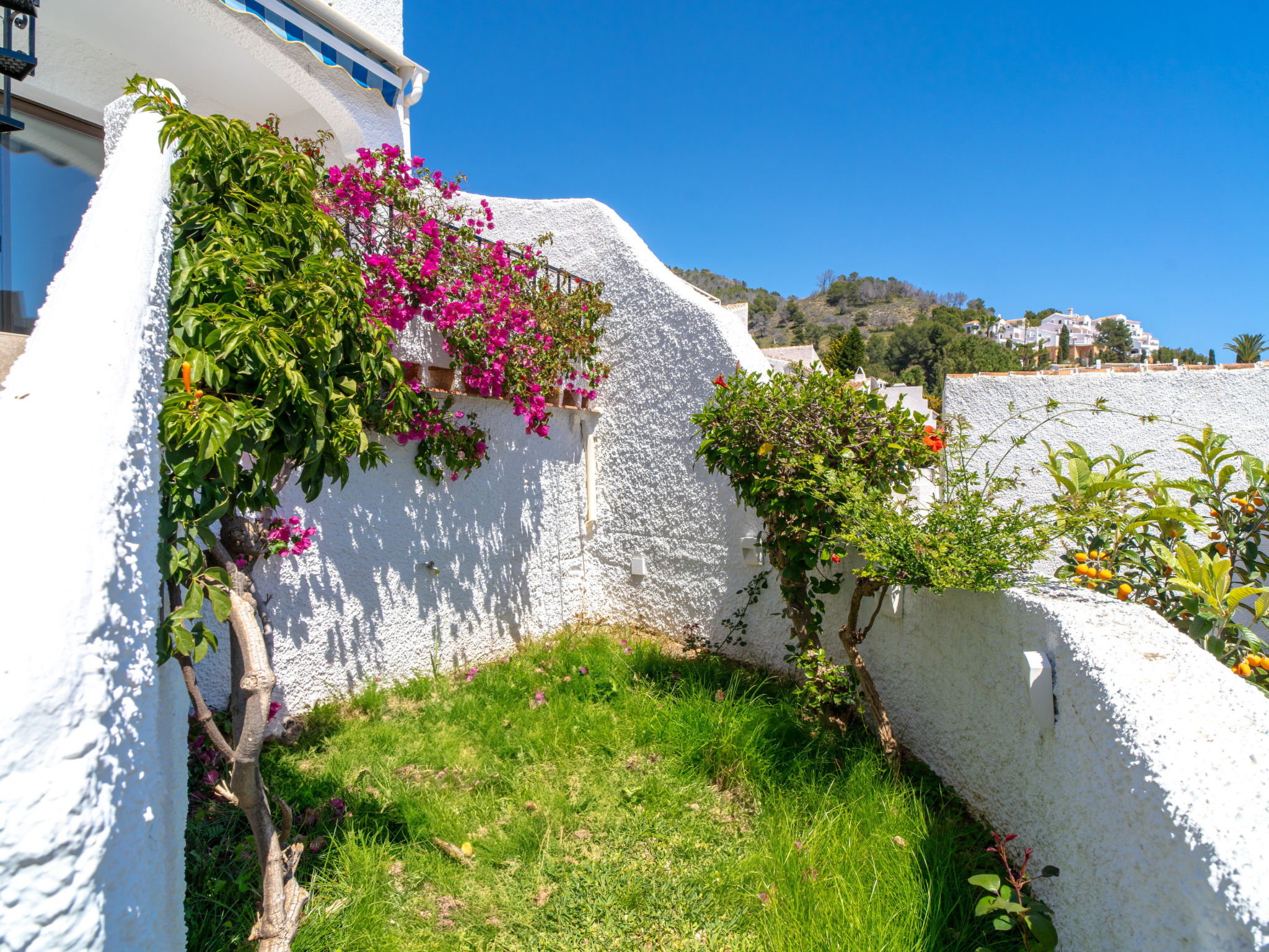 Photo of Hibiscos 33 Rooftop Vista by Casasol