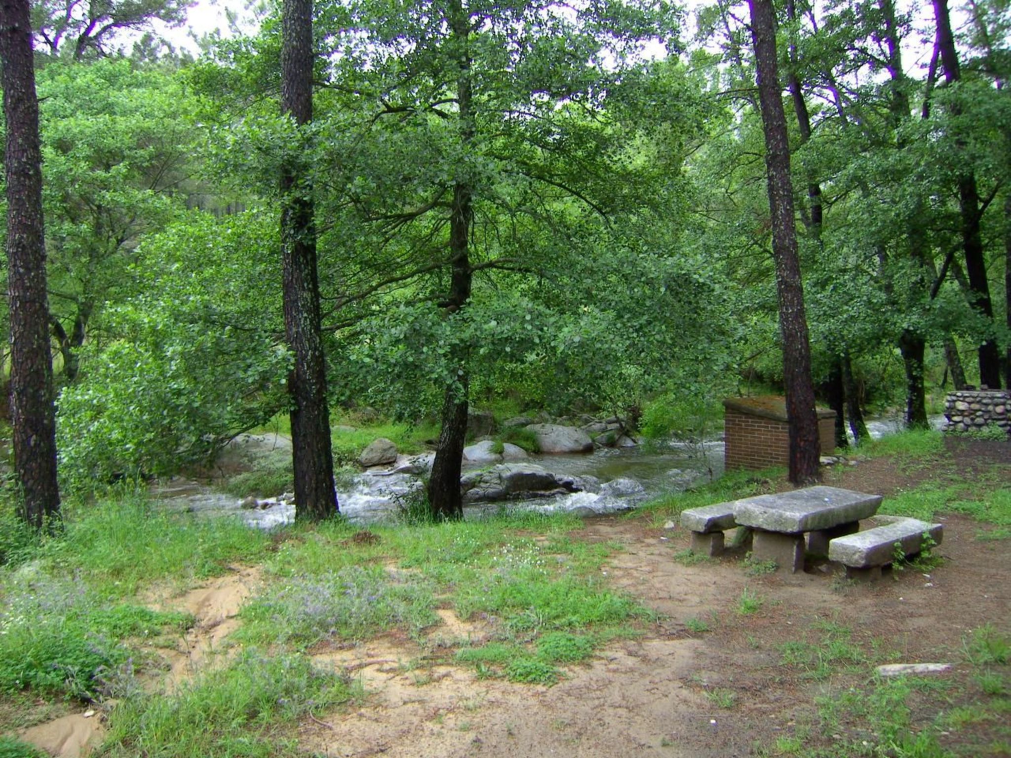 Touristenwohnung "Laura-Buiten