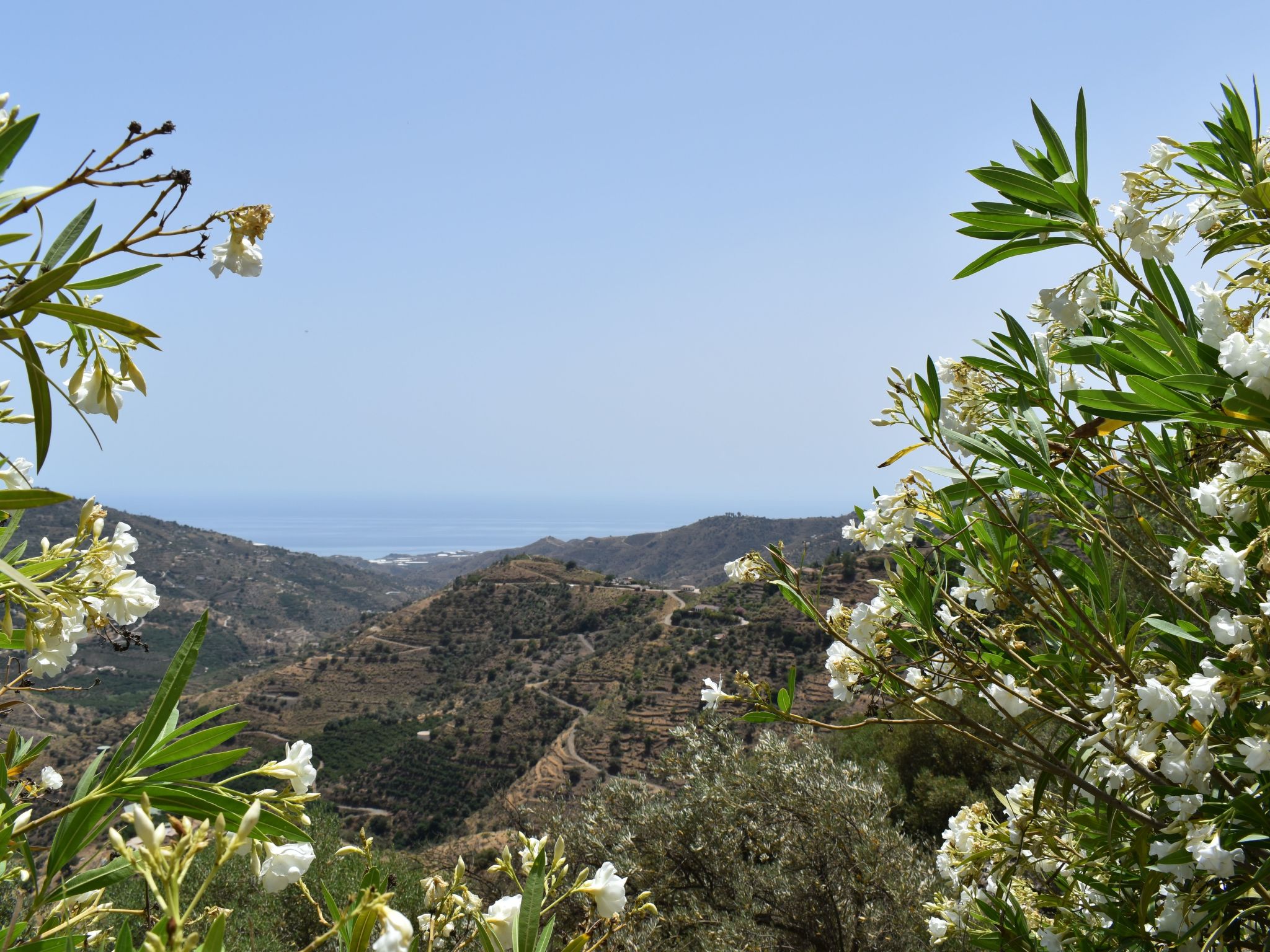 Finca Hornillo mit privatem Pool-Binnen