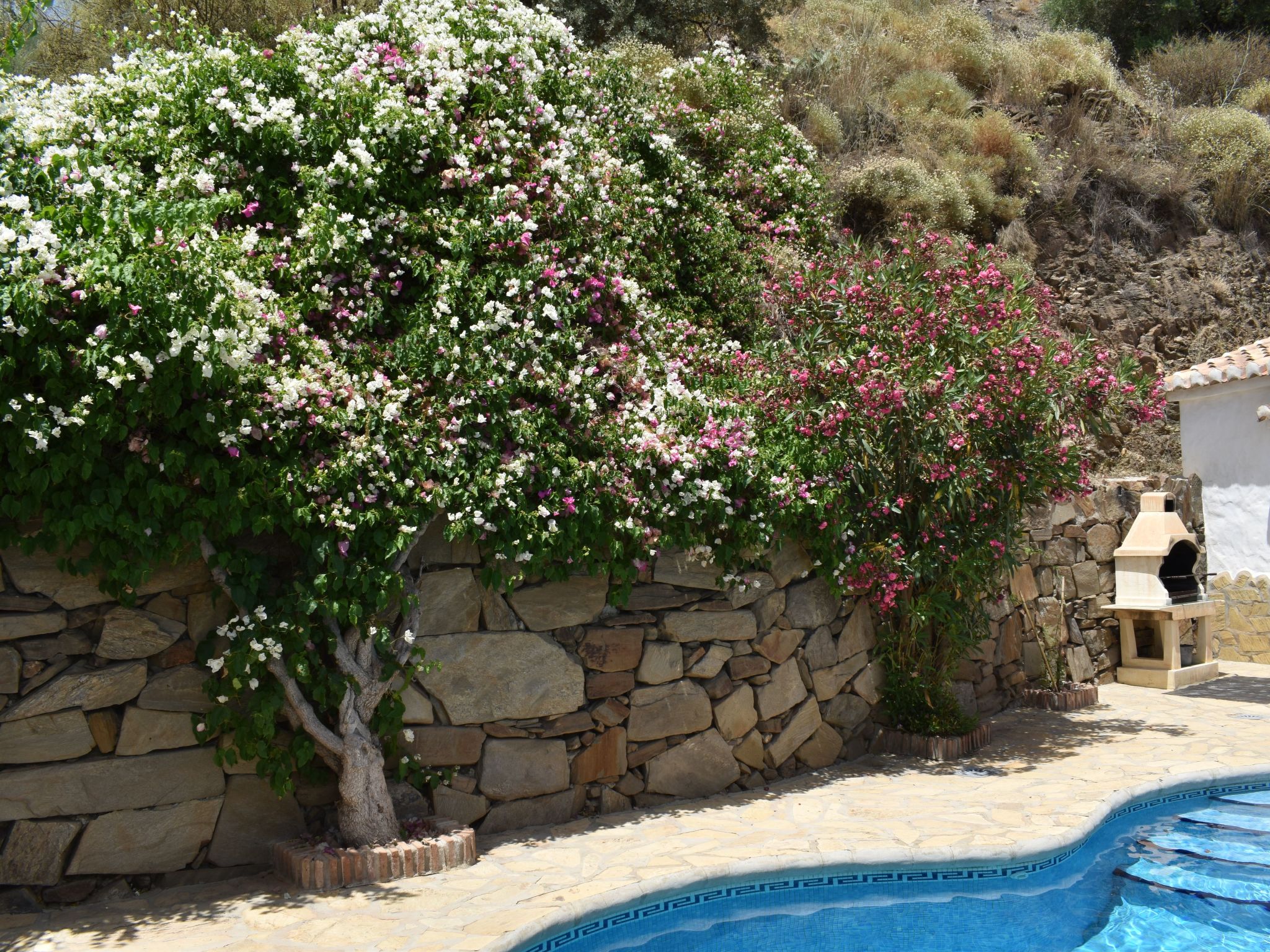 Finca Hornillo mit privatem Pool-Binnen