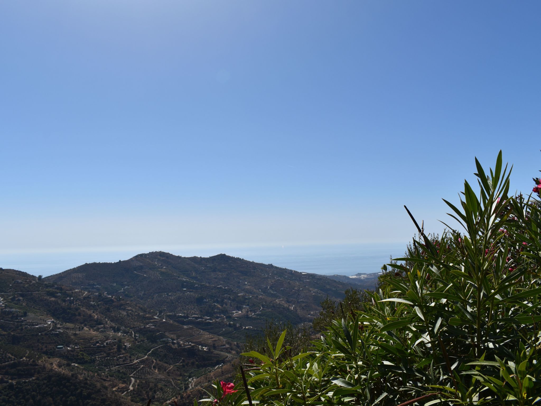 Finca Angarilla mit privatem Pool-Binnen