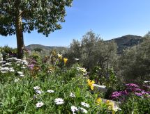 Finca El Corinto - Authentieke finca met privézwembad in Competa - thumbnail 3