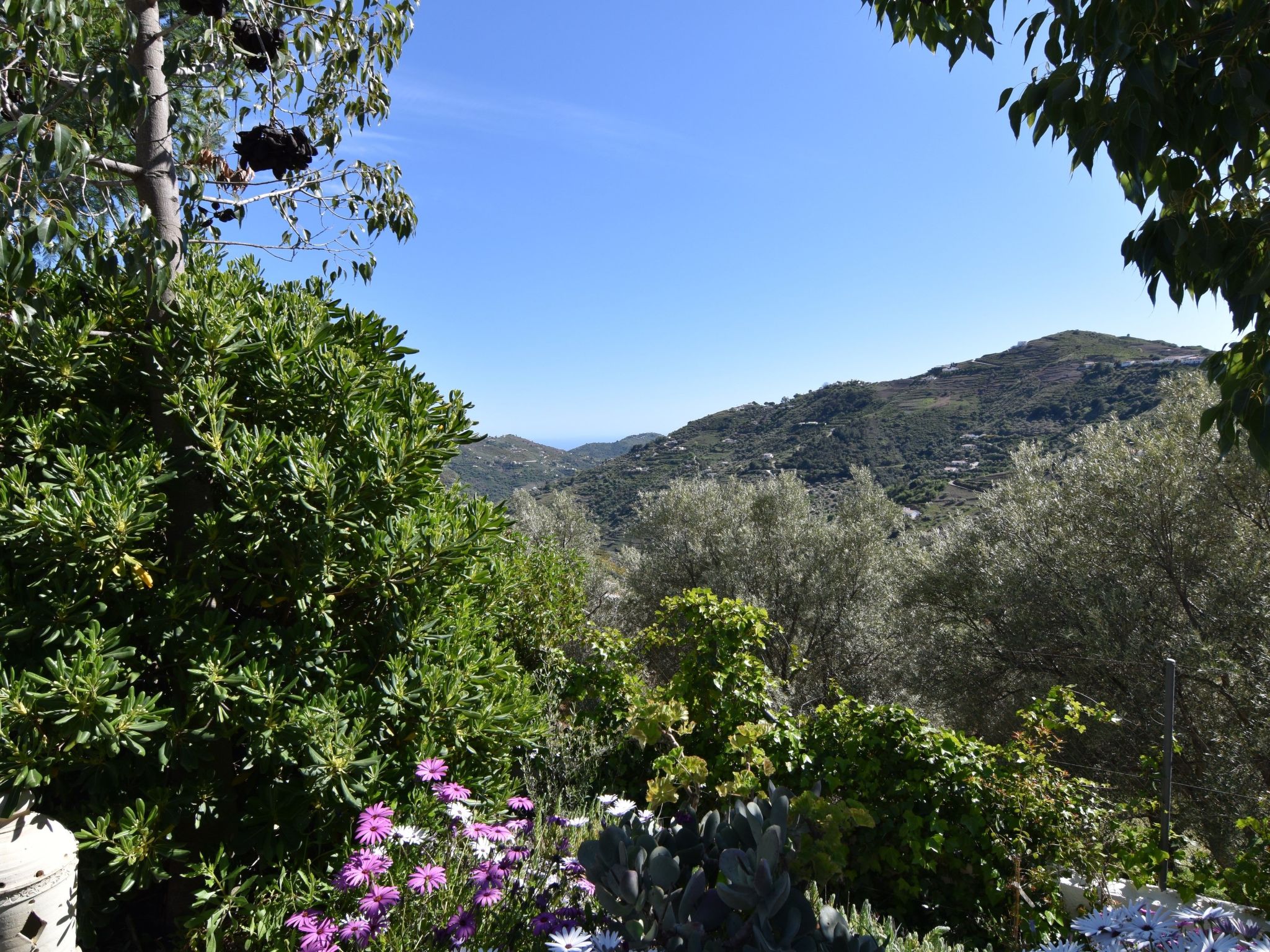 Finca El Corinto - Ein verwunschener Ort-Inside