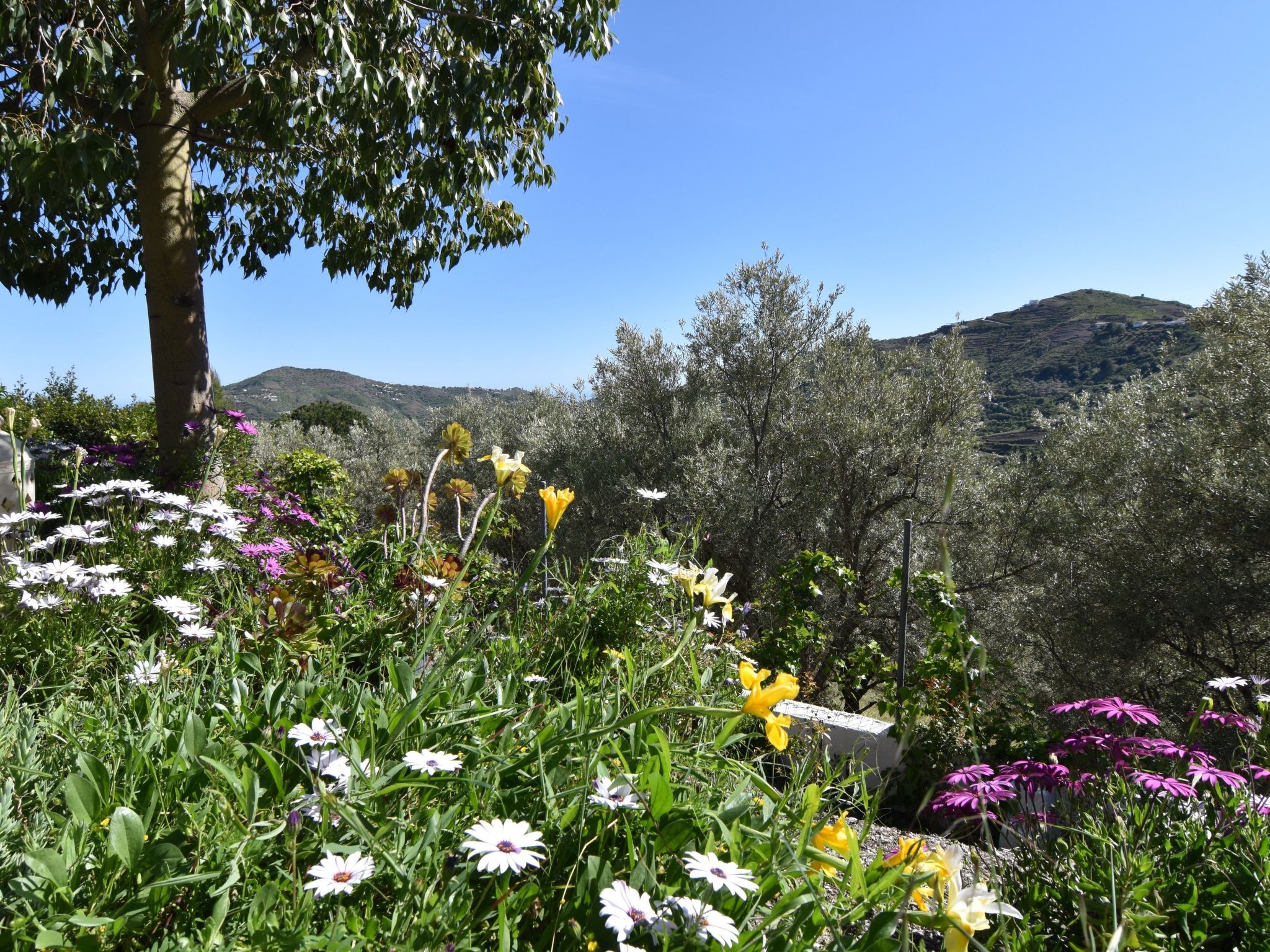 Finca El Corinto - Ein verwunschener Ort-Inside