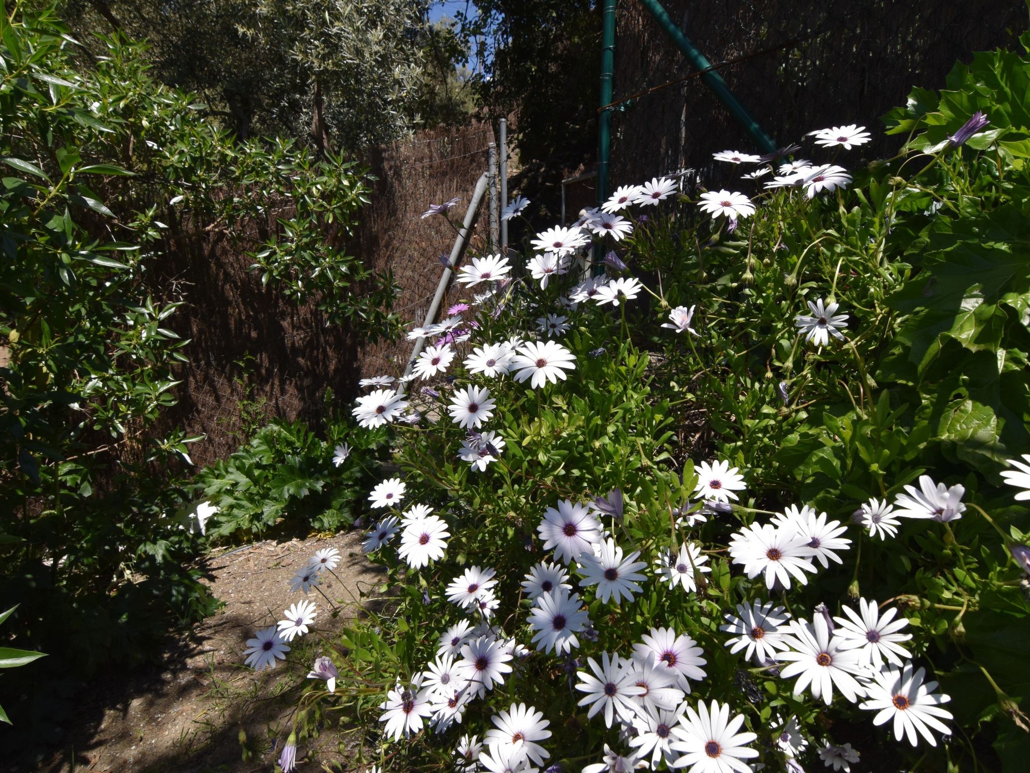 Finca El Corinto - Ein verwunschener Ort-Inside