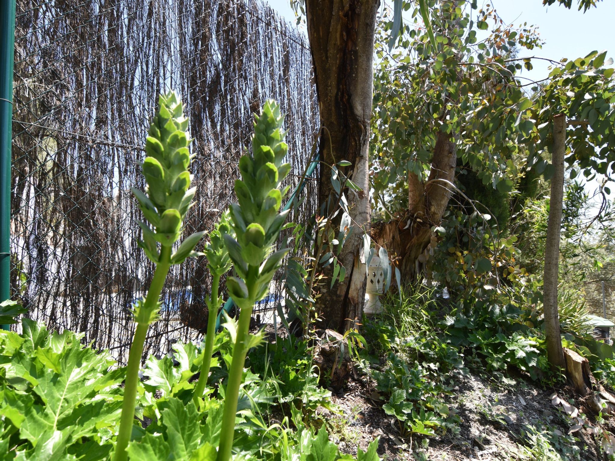 Finca El Corinto - Ein verwunschener Ort-Inside