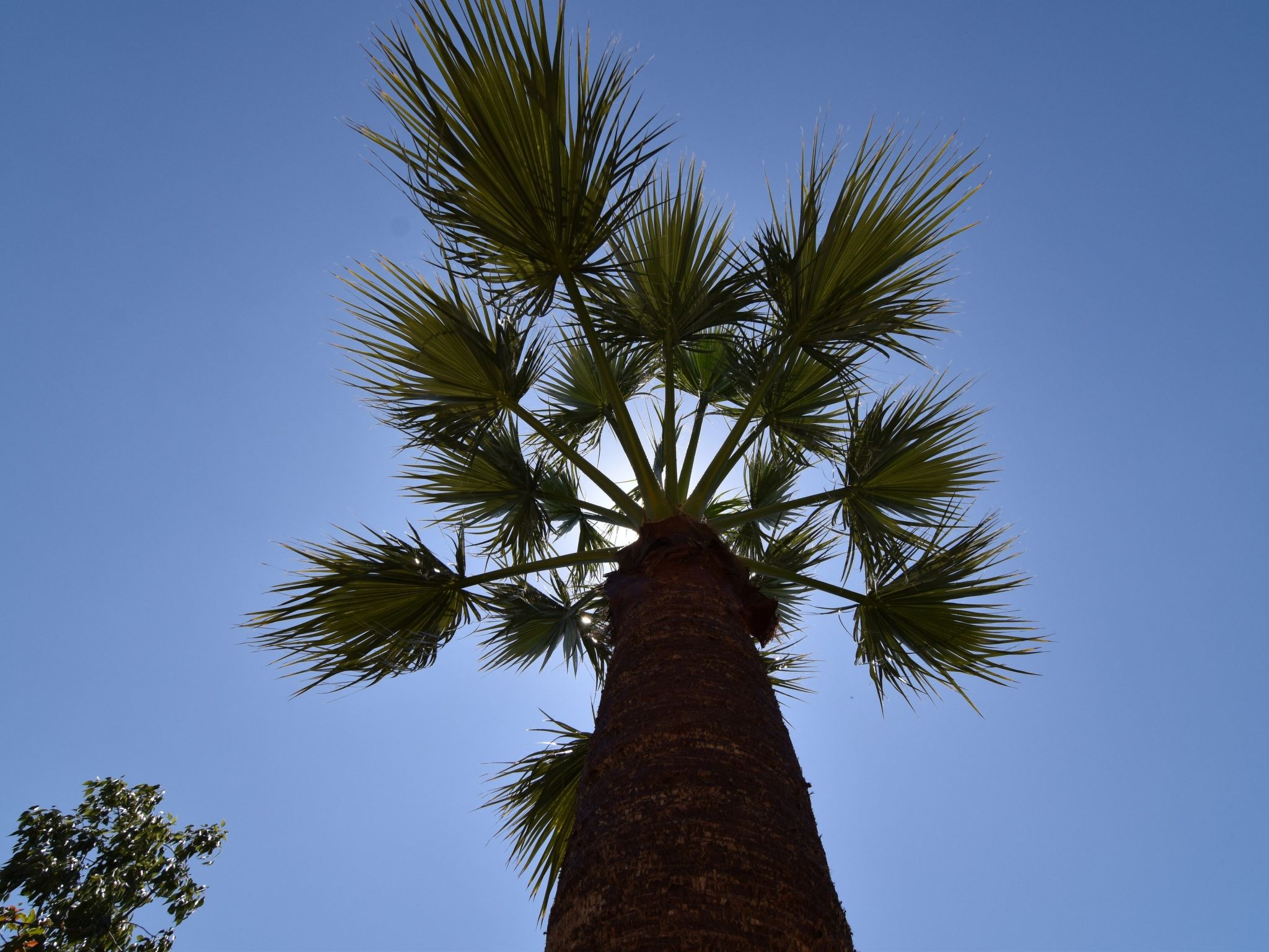 Finca El Corinto - Ein verwunschener Ort-Inside