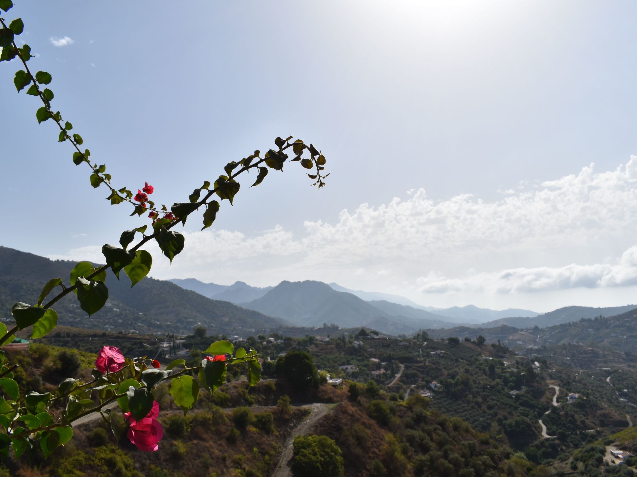 Finca Martina mit Pool in Cómpeta-Inside