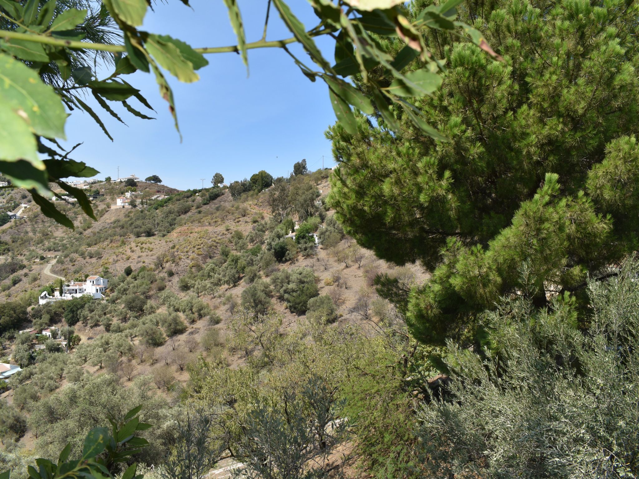 Finca Aguaillo - 20 Minuten zu Fuß ins Dorf-Image-tags.info