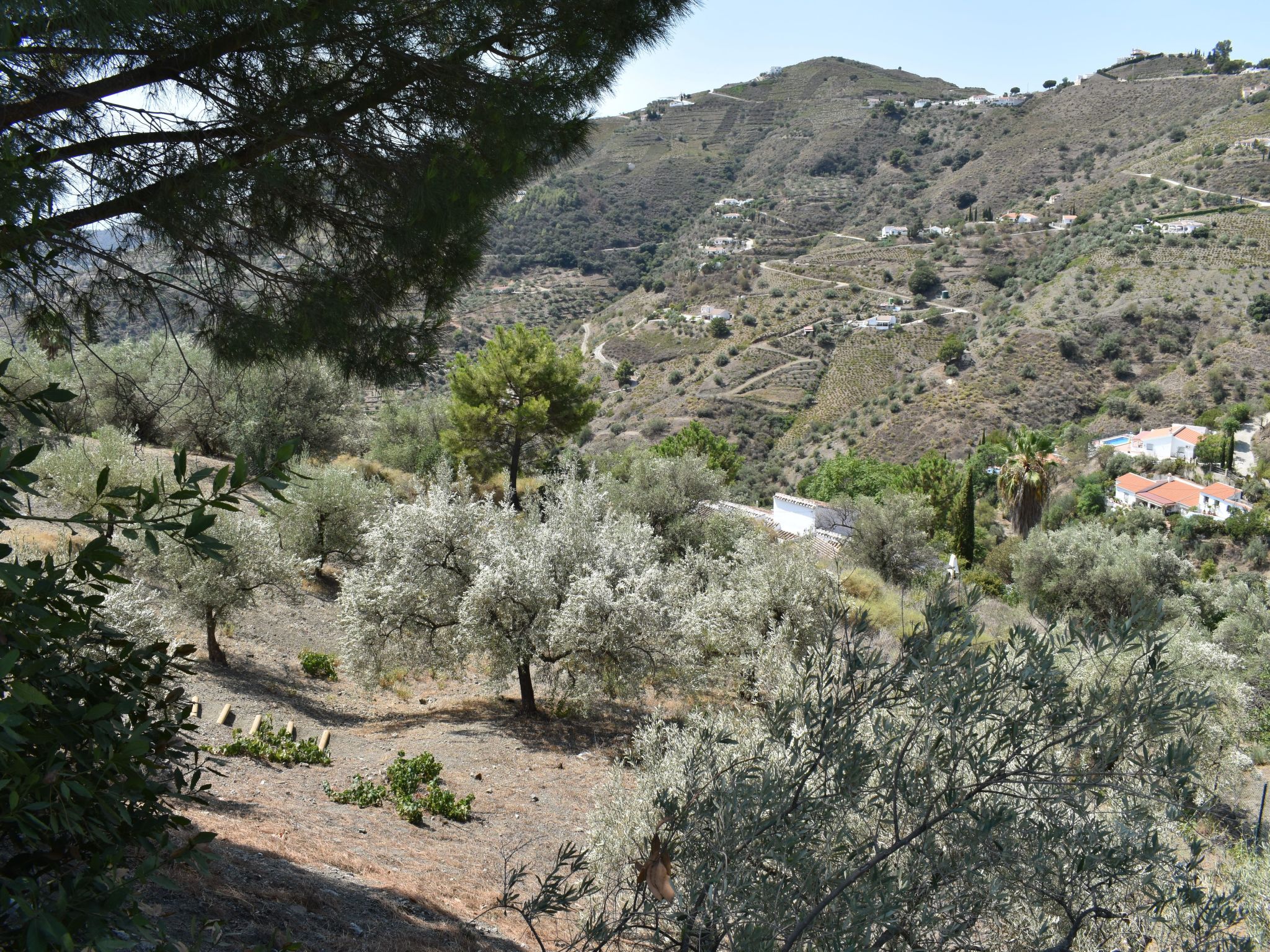 Finca Aguaillo - 20 Minuten zu Fuß ins Dorf-Image-tags.info