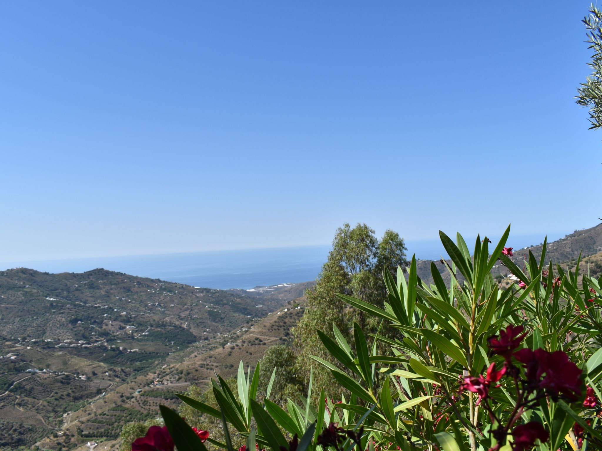 Finca Algarabia mit privatem Pool-Binnen