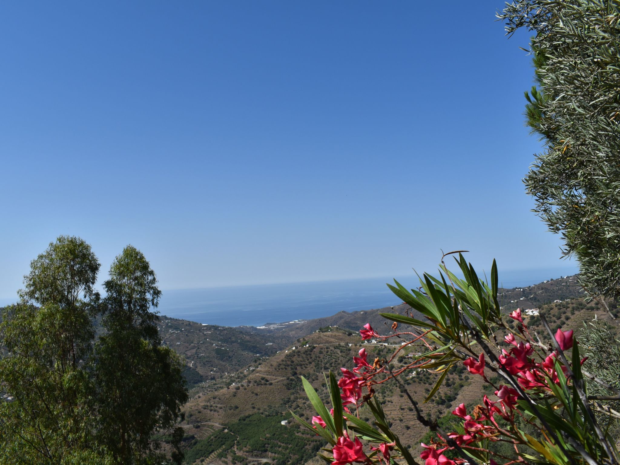 Finca Algarabia mit privatem Pool-Binnen