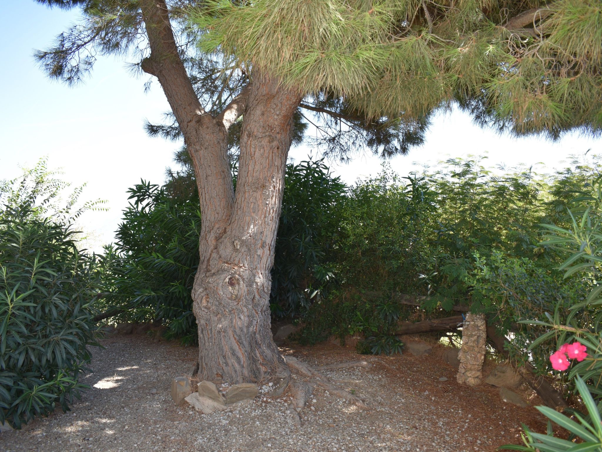 Finca Carrulo mit privatem Pool-Binnen