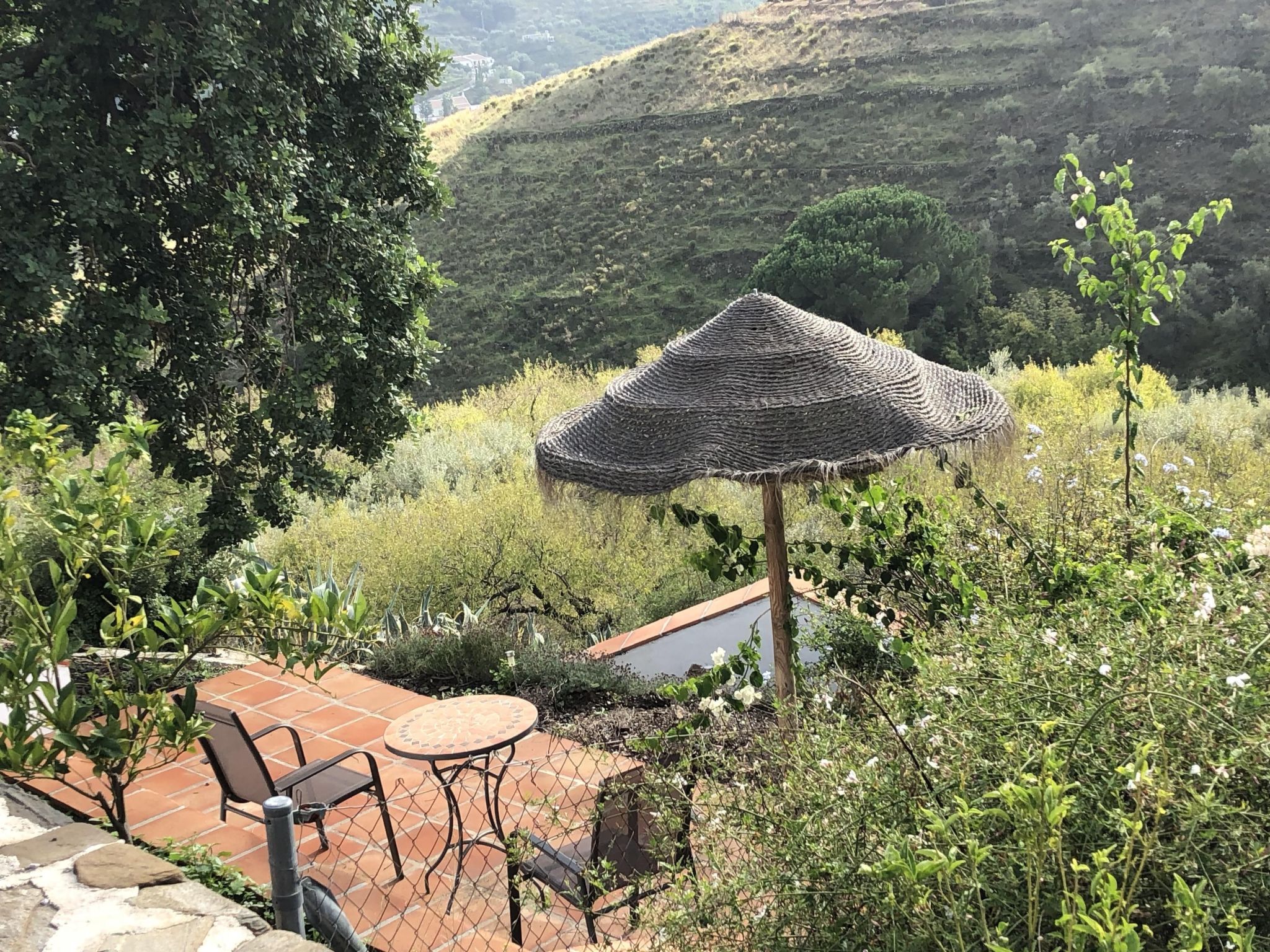 Finca "La Estrella de Cómpeta". - Buiten