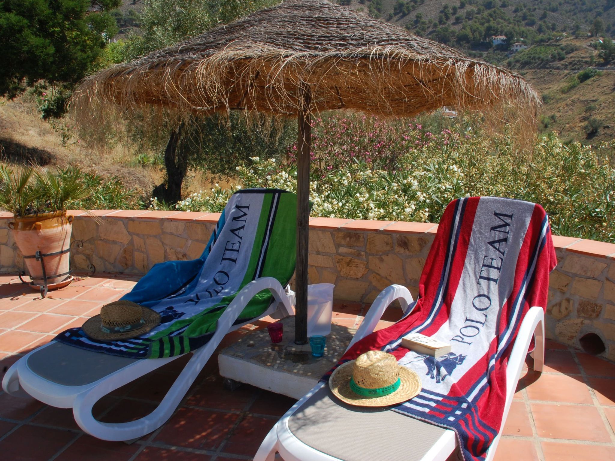 Finca "La Estrella de Cómpeta". - Buiten