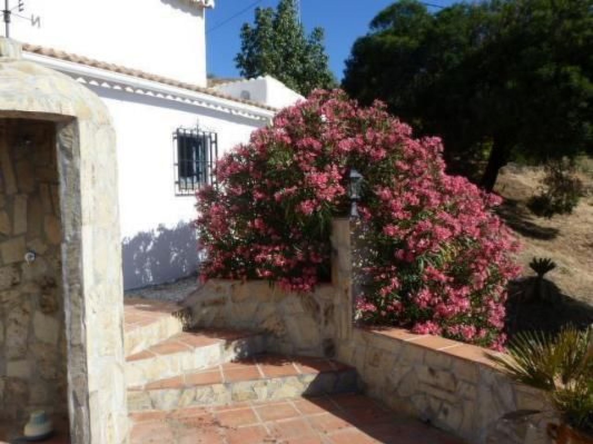 Finca 'La Estrella de Cómpeta'.