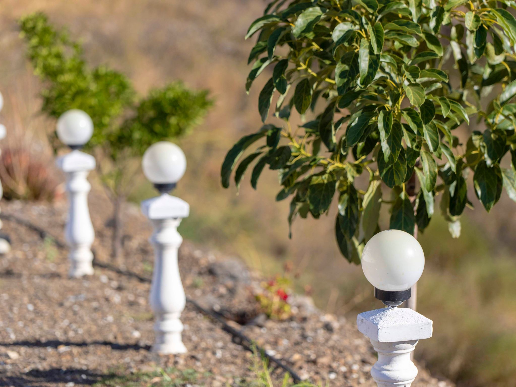 Modernes Wohnen im ländlichen Andalusien-Drinnen
