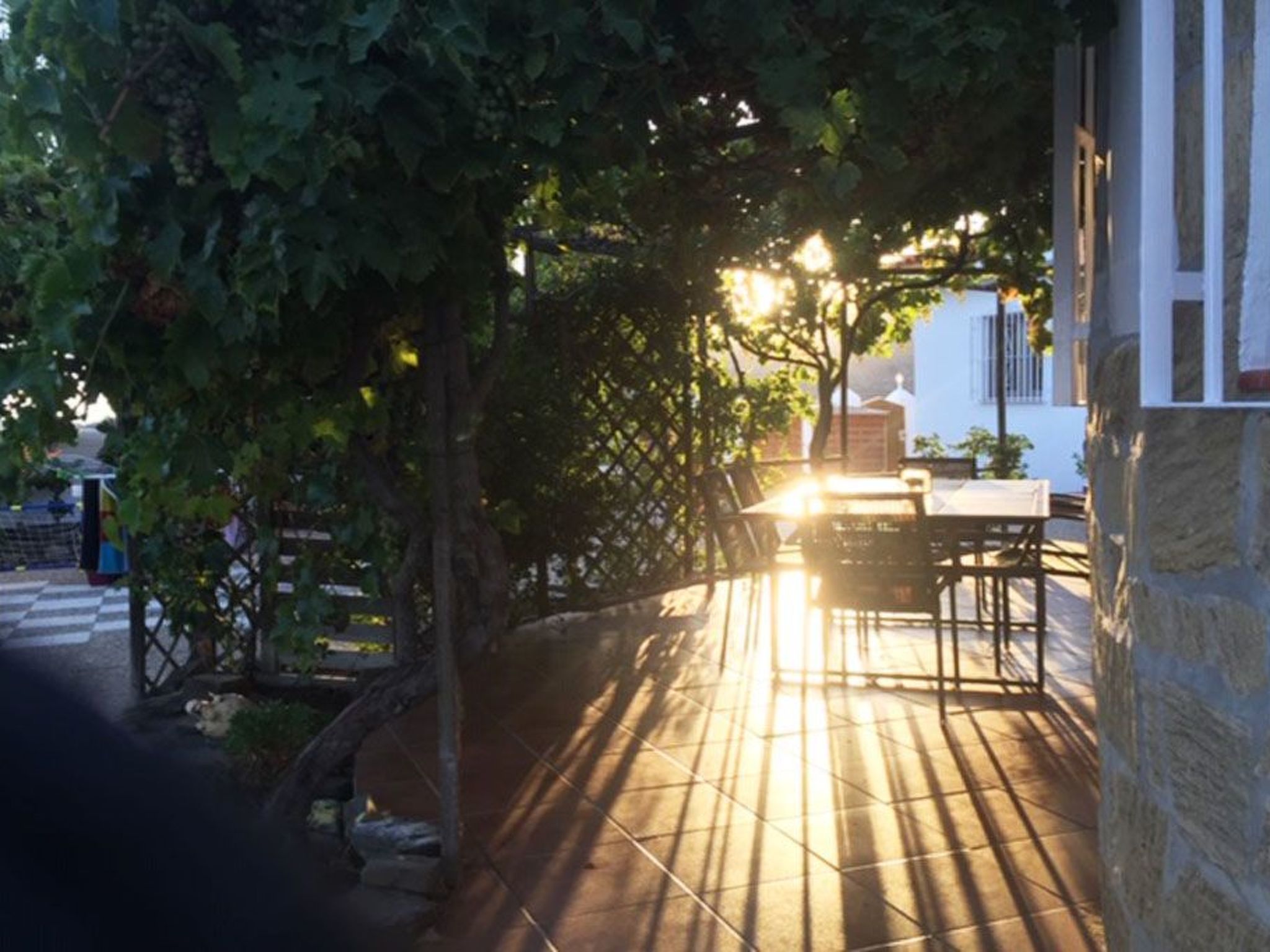 Casa Palmeras in Sayalonga mit Gepflegtem Garten-Drinnen