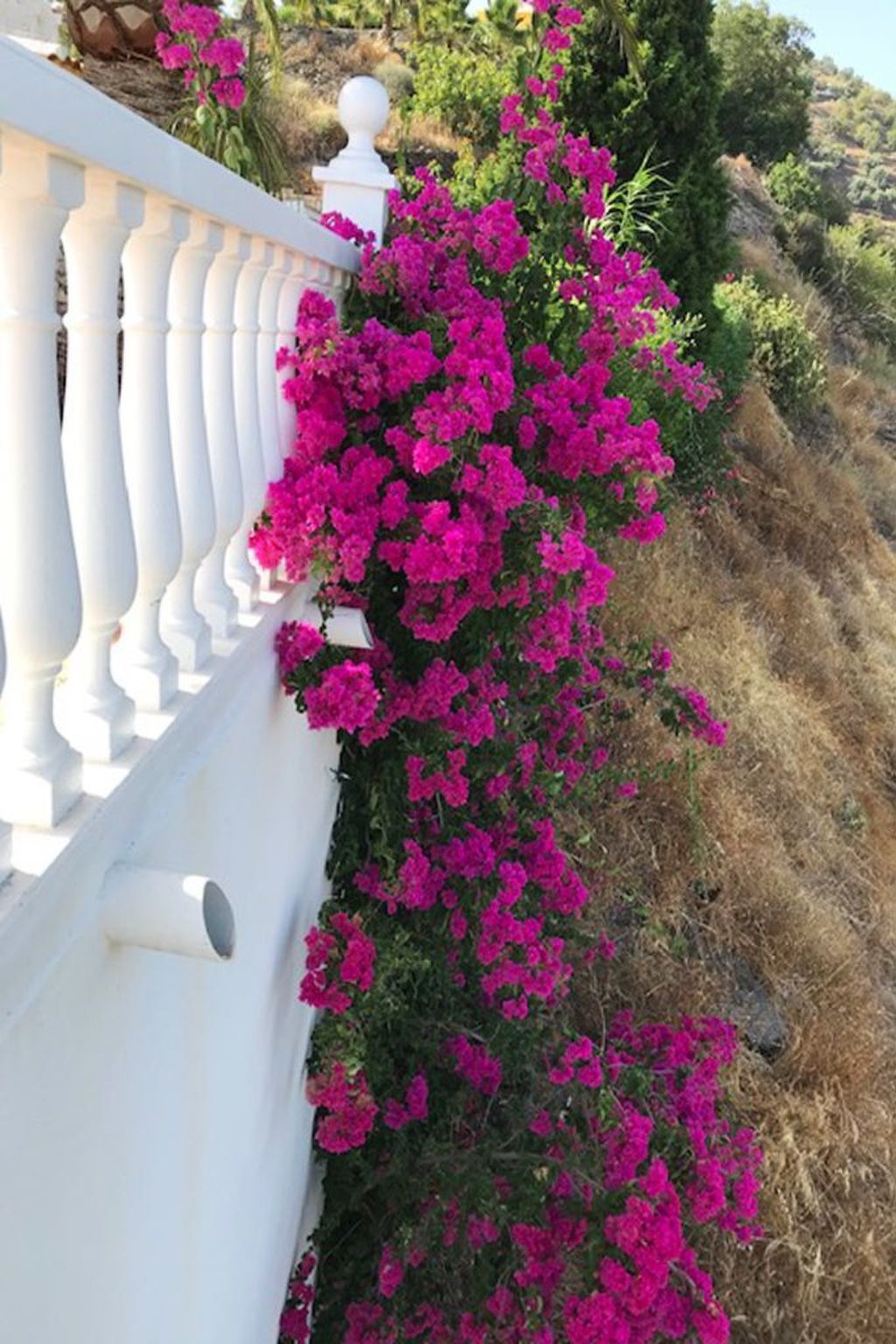 Casa Palmeras in Sayalonga mit Gepflegtem Garten-Drinnen