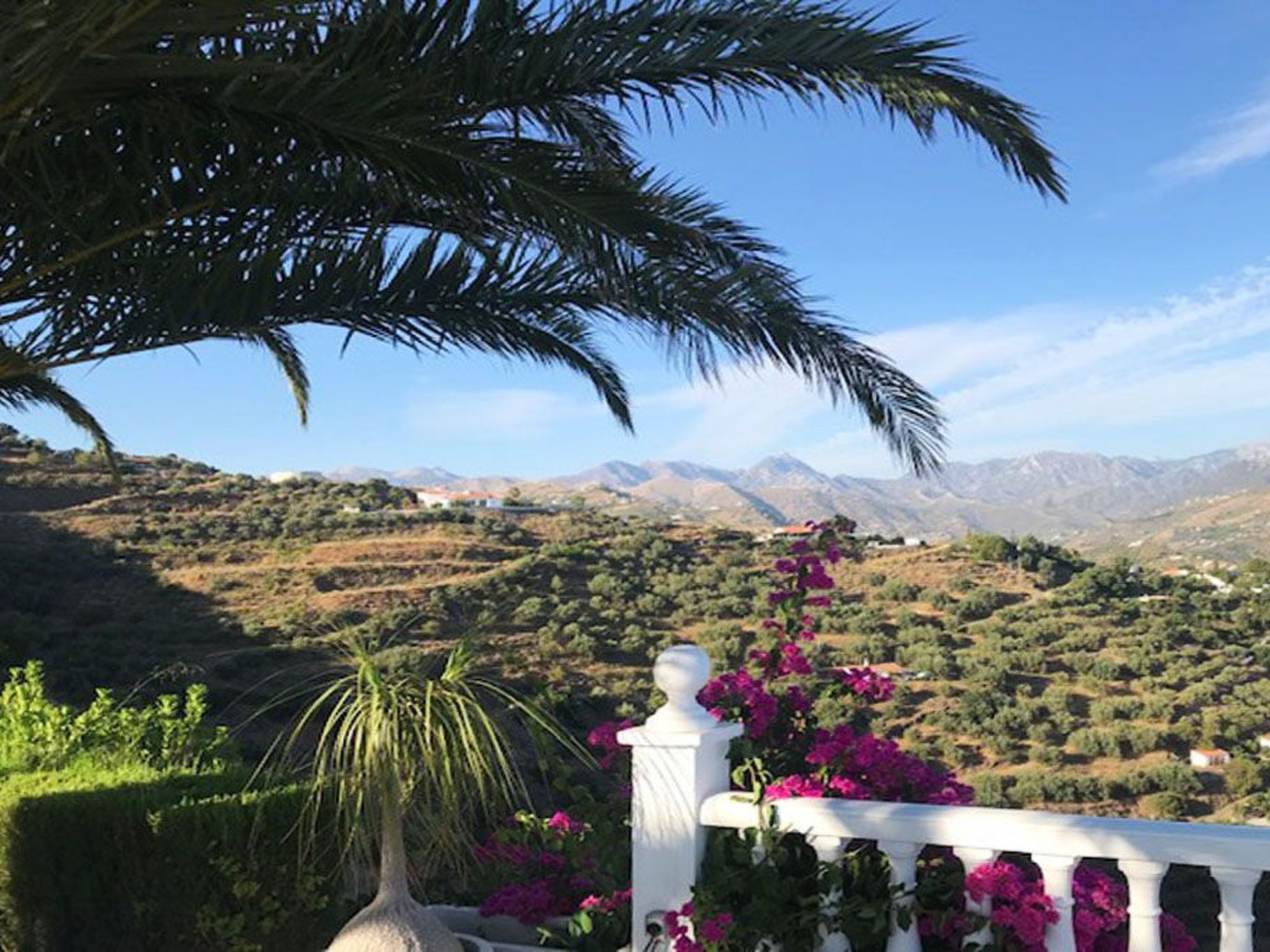 Casa Palmeras in Sayalonga mit Gepflegtem Garten-Drinnen