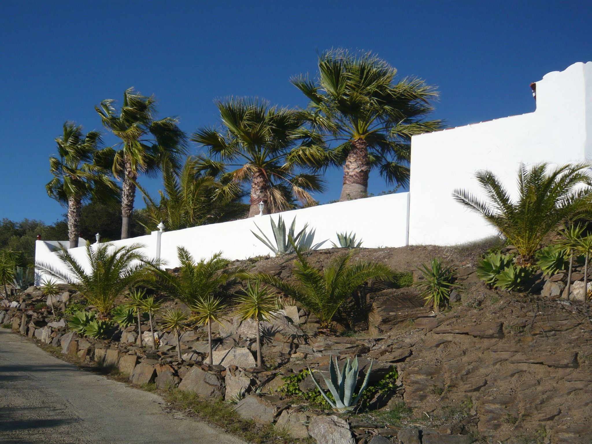 Casa Palmeras in Sayalonga mit Gepflegtem Garten