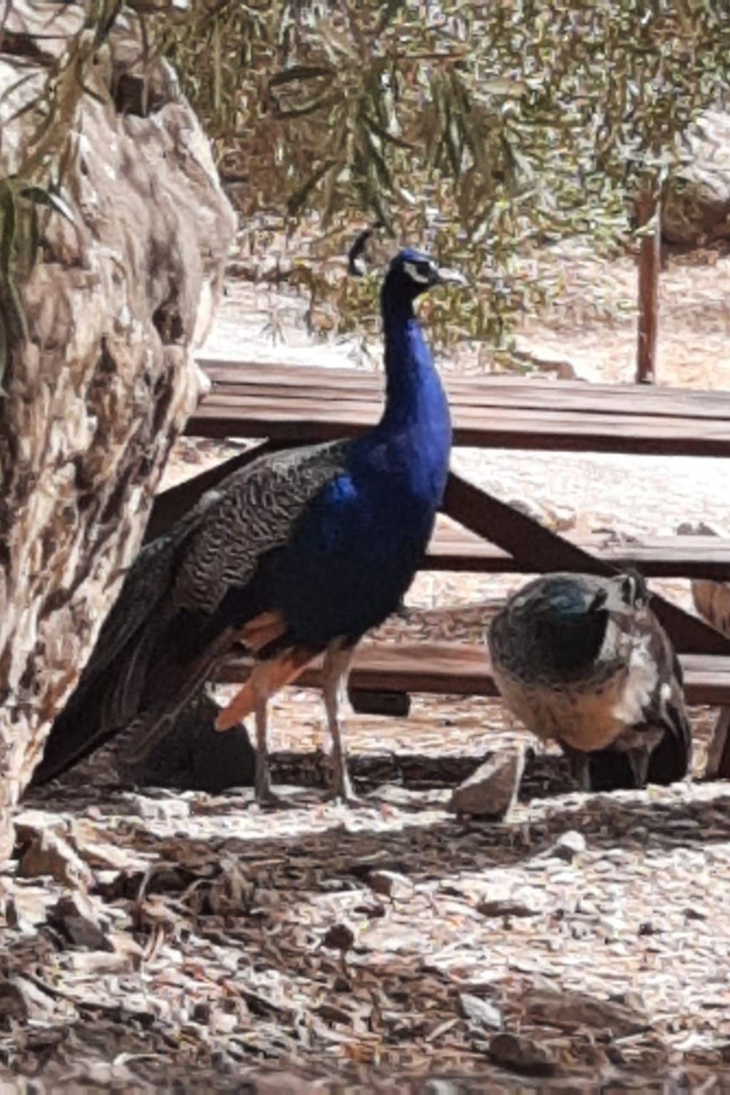 In Almogía mit Garten, Terrasse und gemeinschaftlichem Pool-Outside